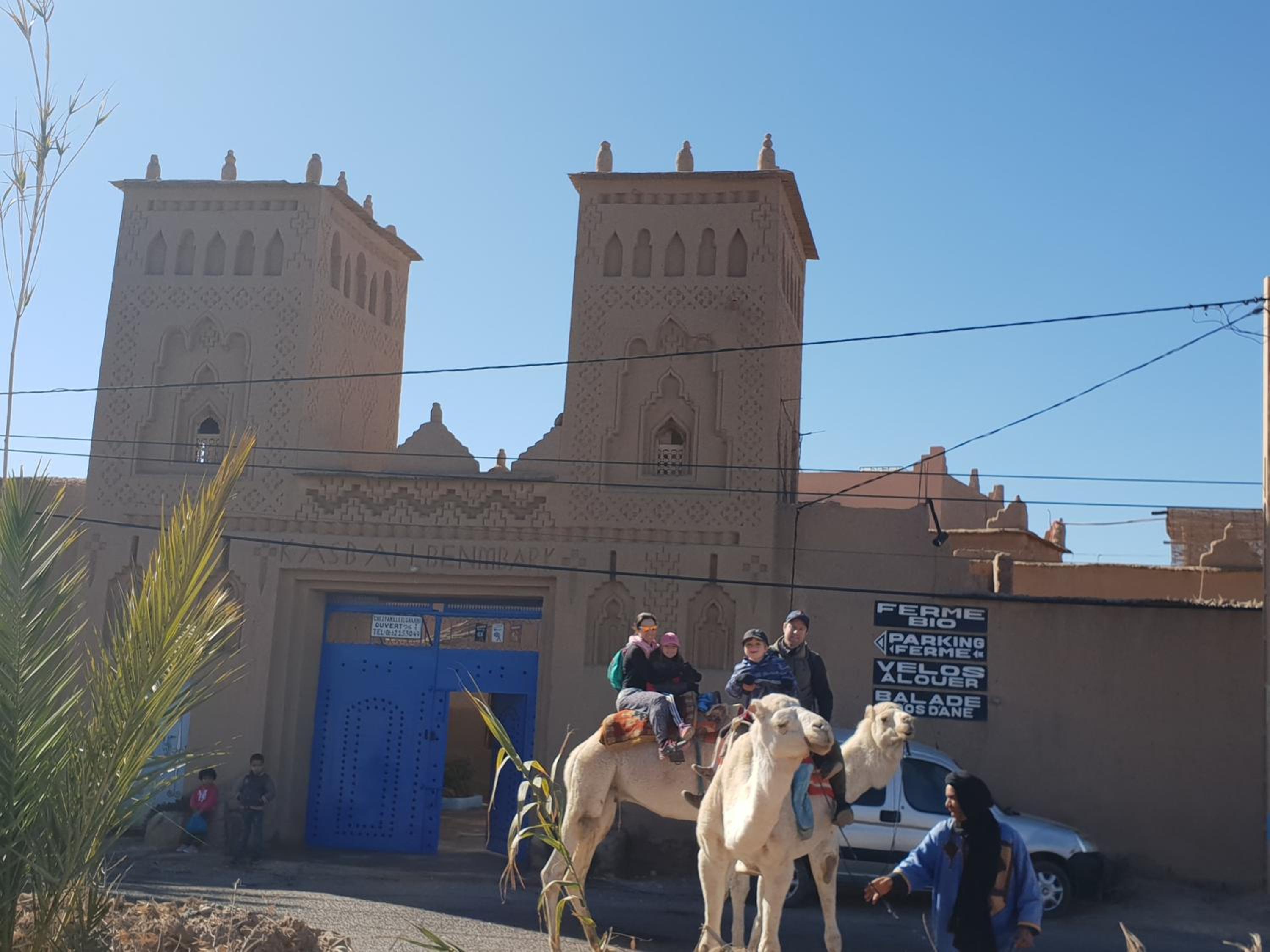 Gite Kasbah La Palmeraie view 4