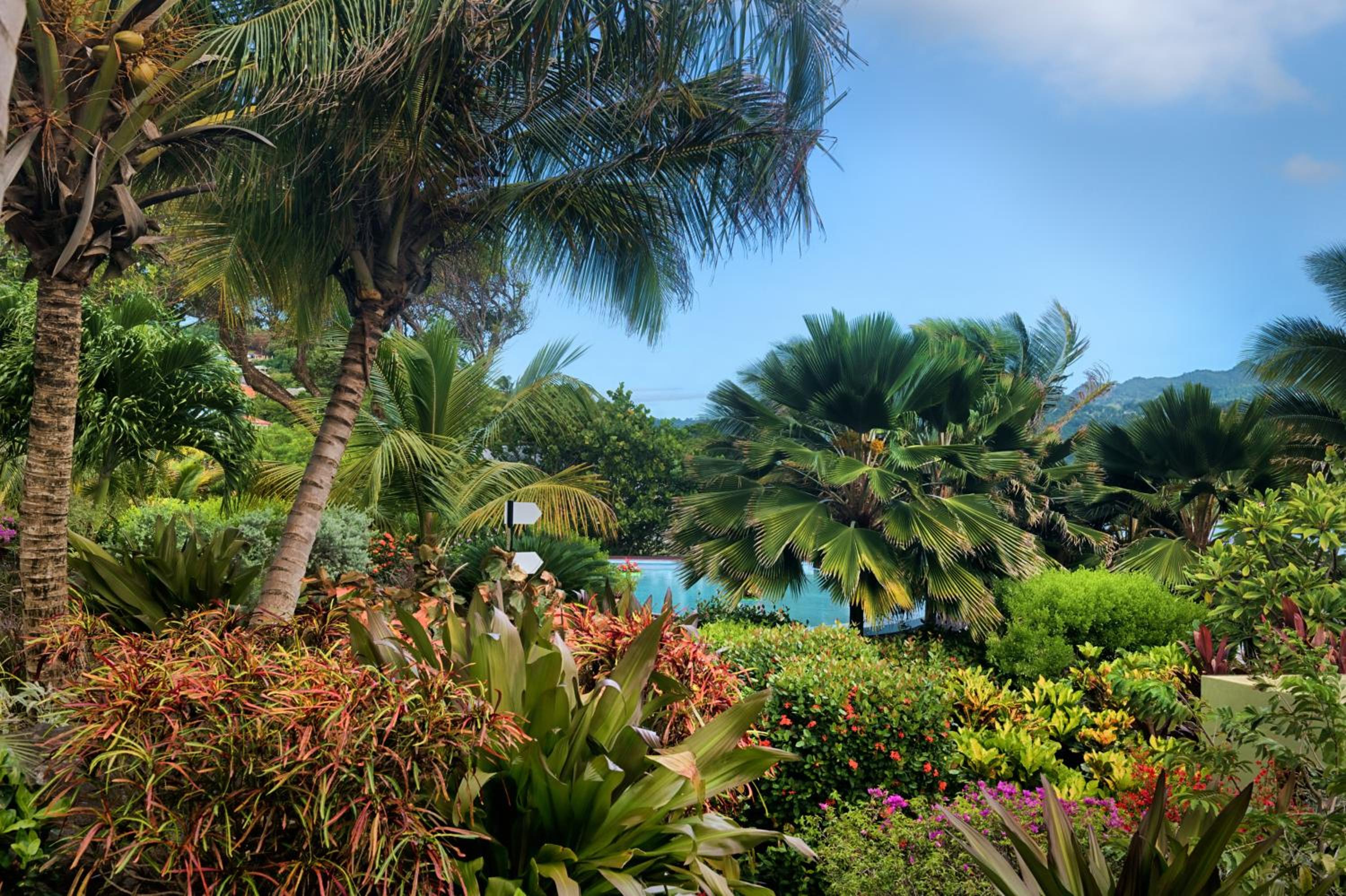 Cocoa Cove Resort