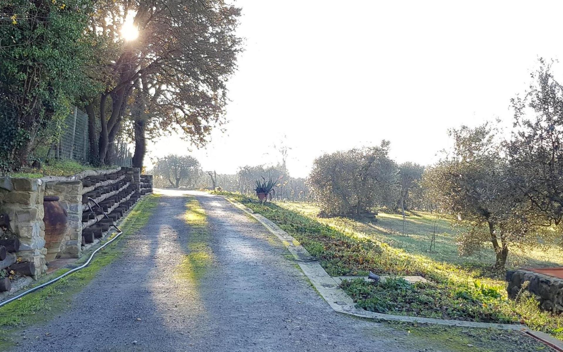 Podere agli Arrighi photo 3