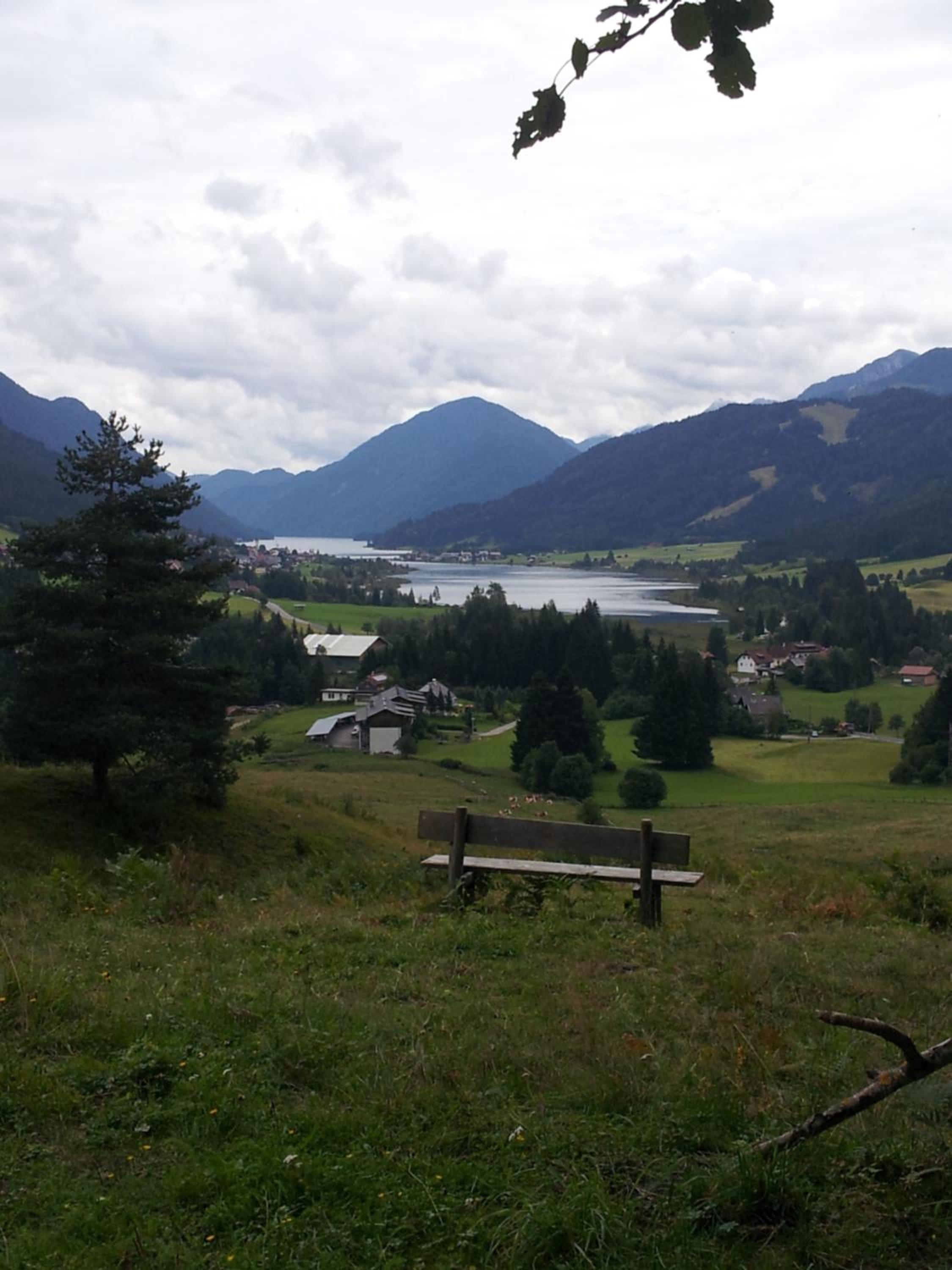 Photo 43