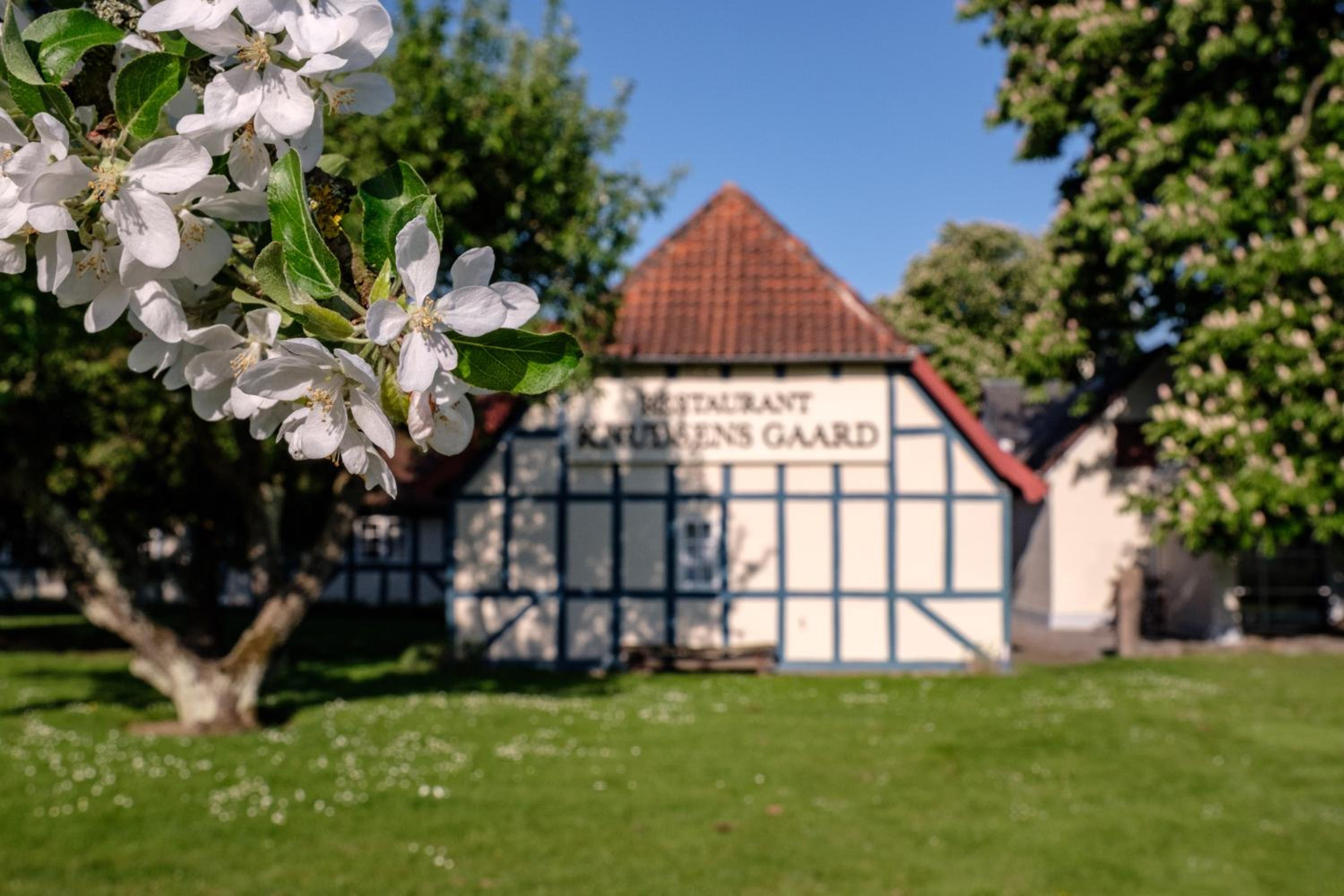 Odense Vacations - Hotel Knudsens Gaard - Property Image 136