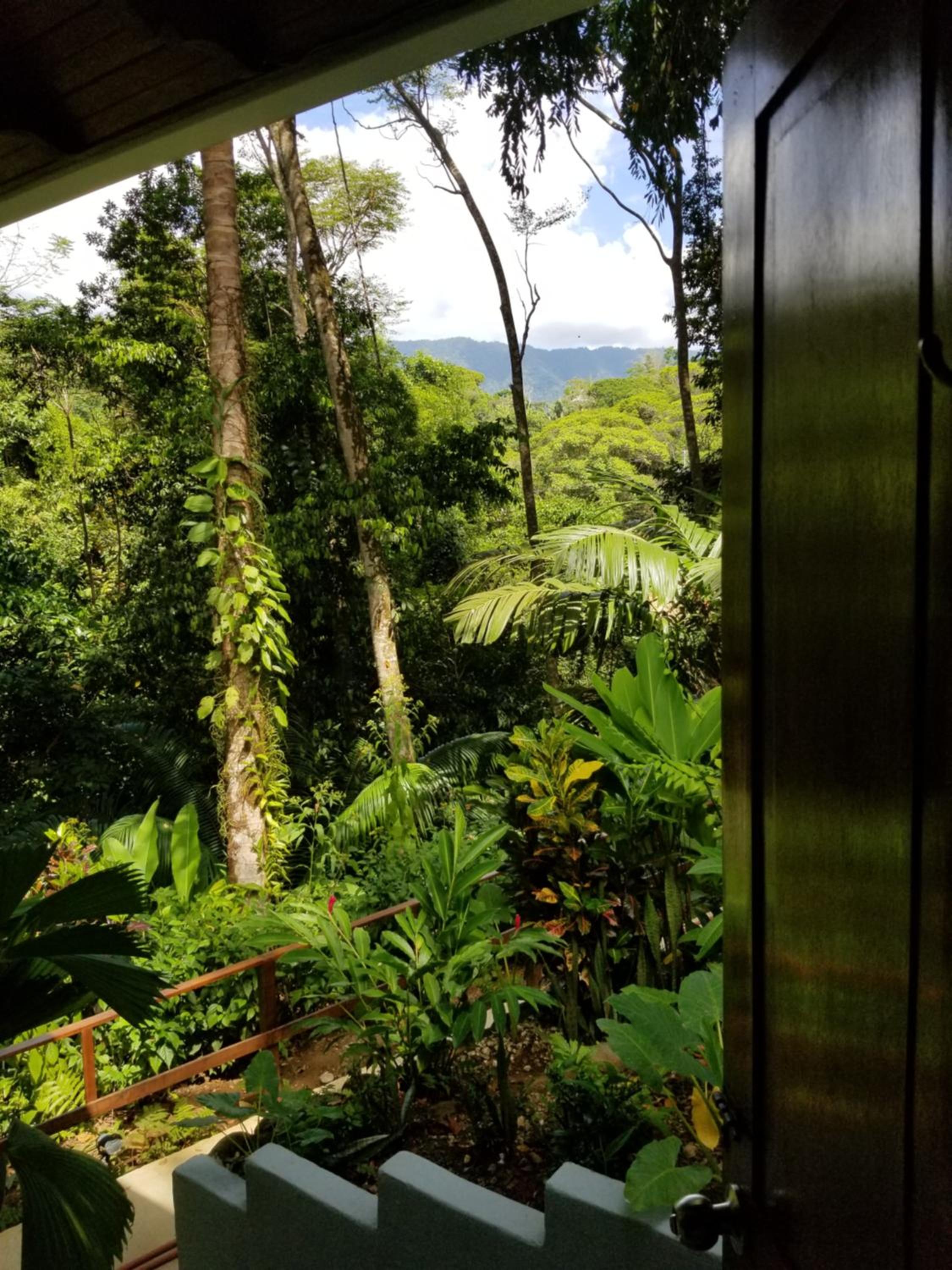 Villas en el Bosque