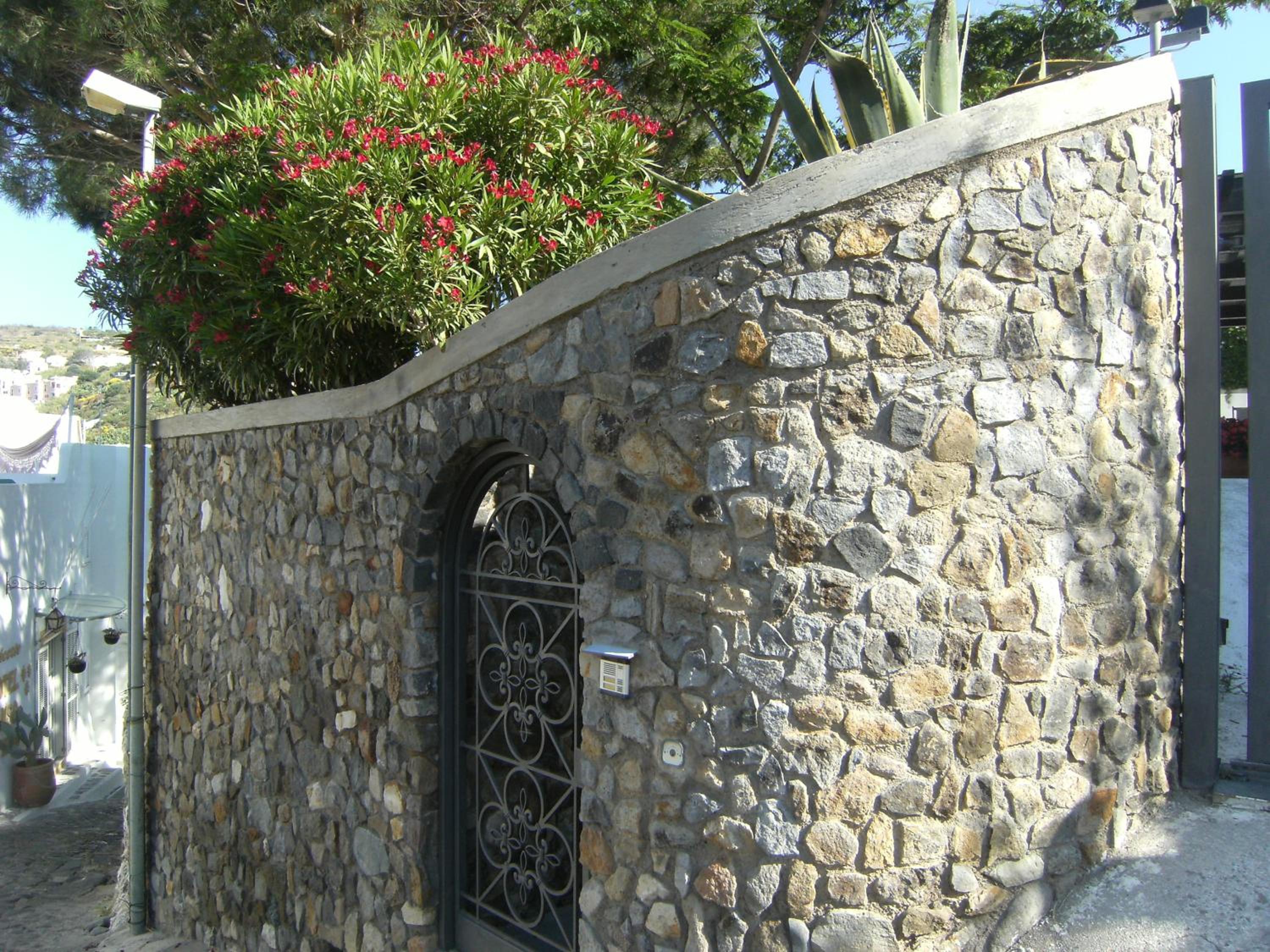 Photo 38