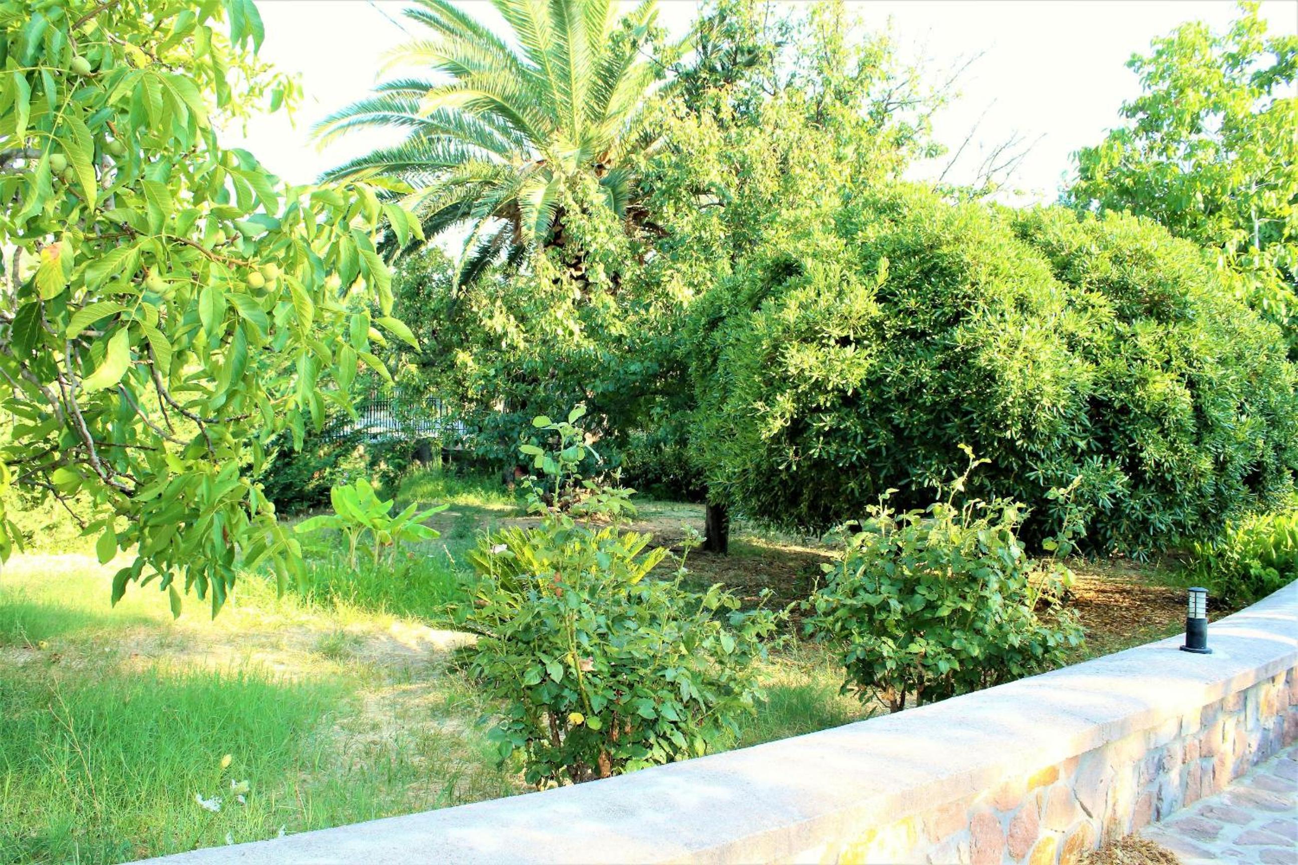 Photo 22