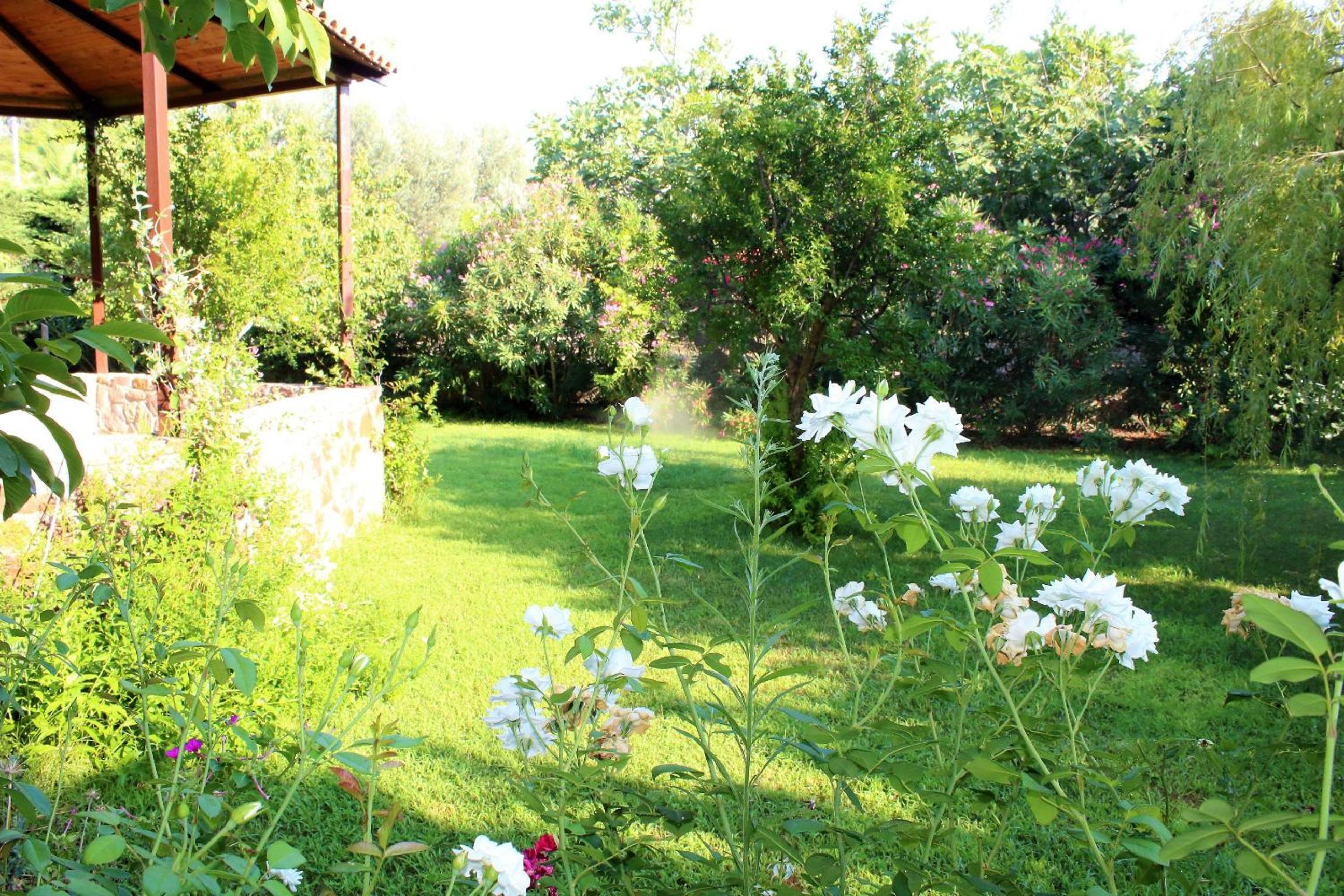 Photo 19