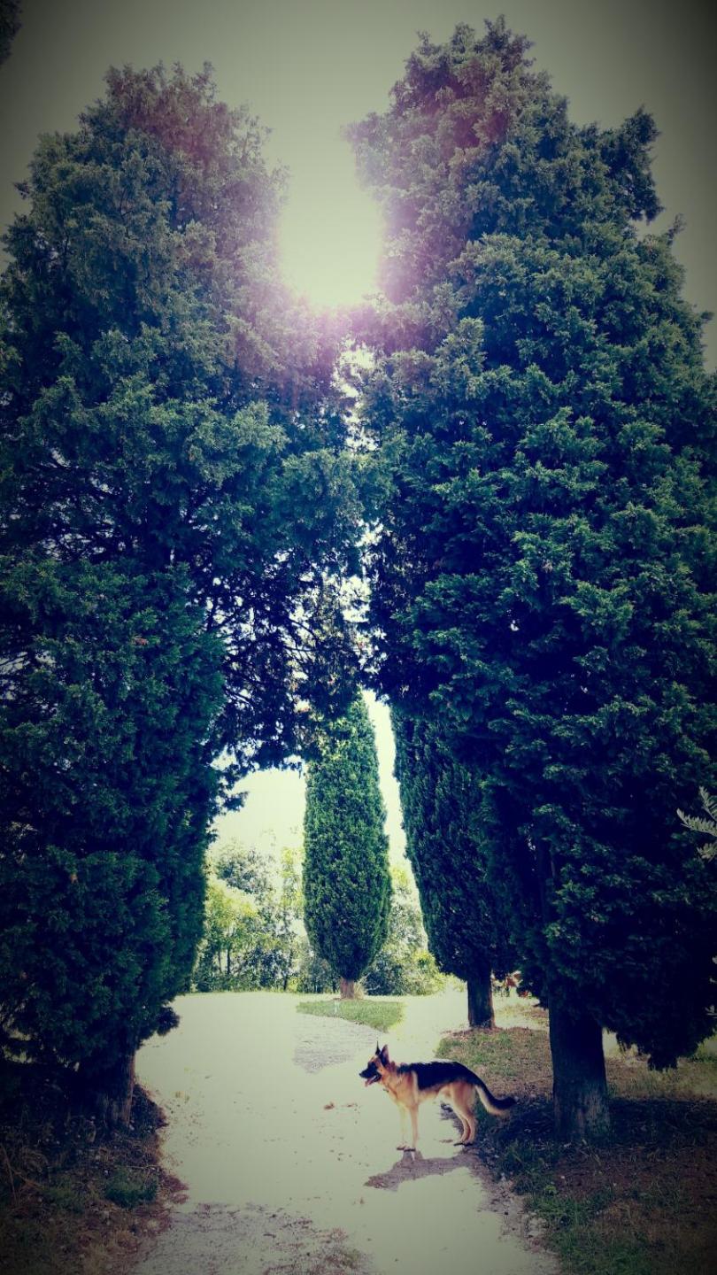 Photo 33
