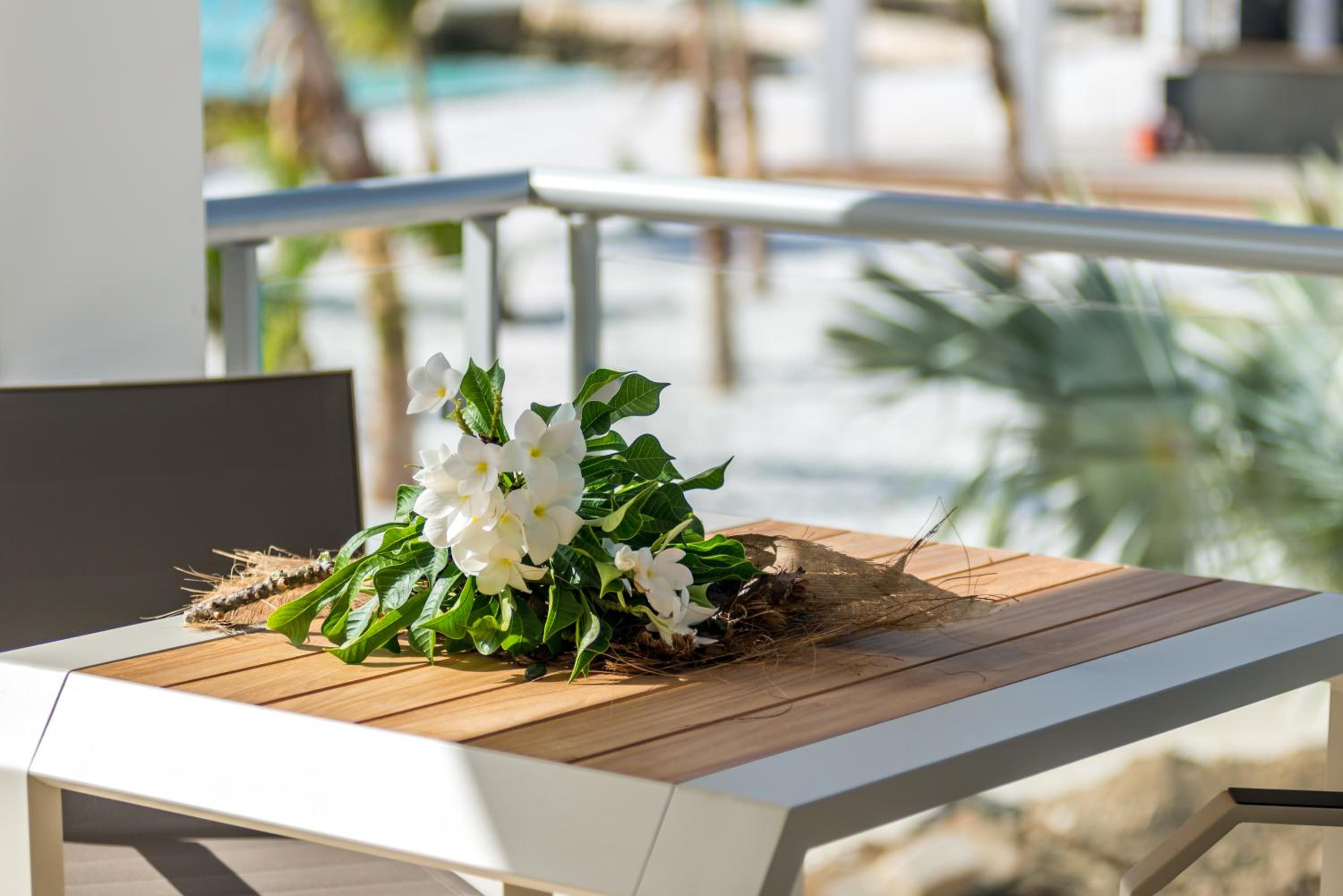 Delfins Beach Resort Bonaire, Tapestry Collection by Hilton