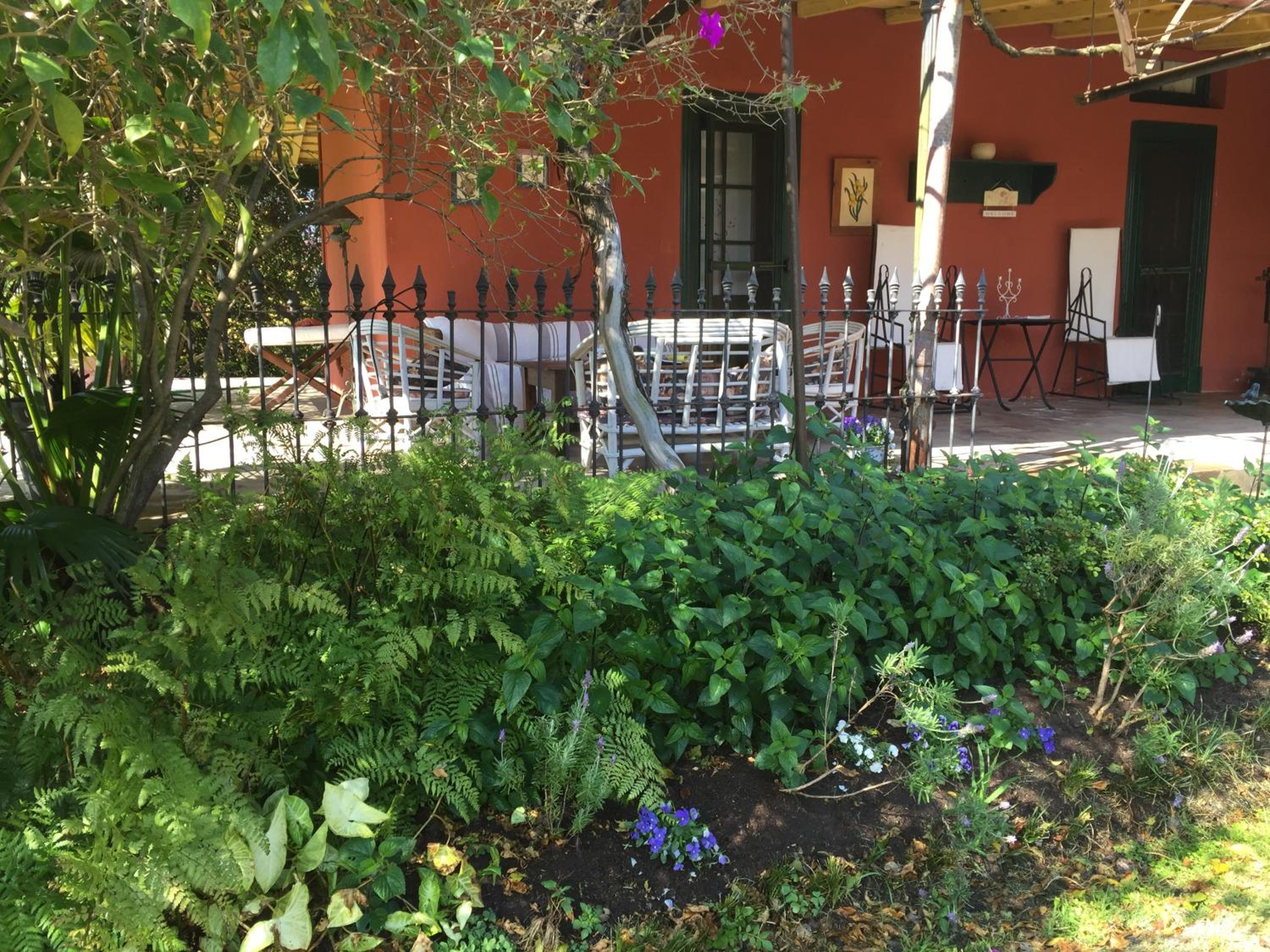 Estancia La violeta