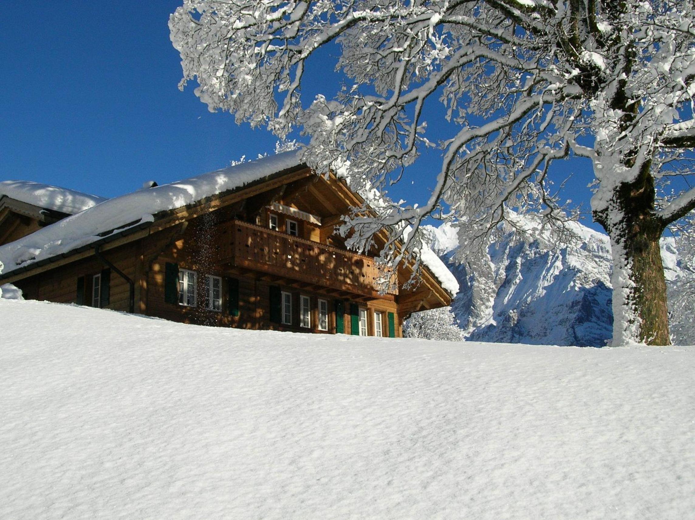 Photo 14