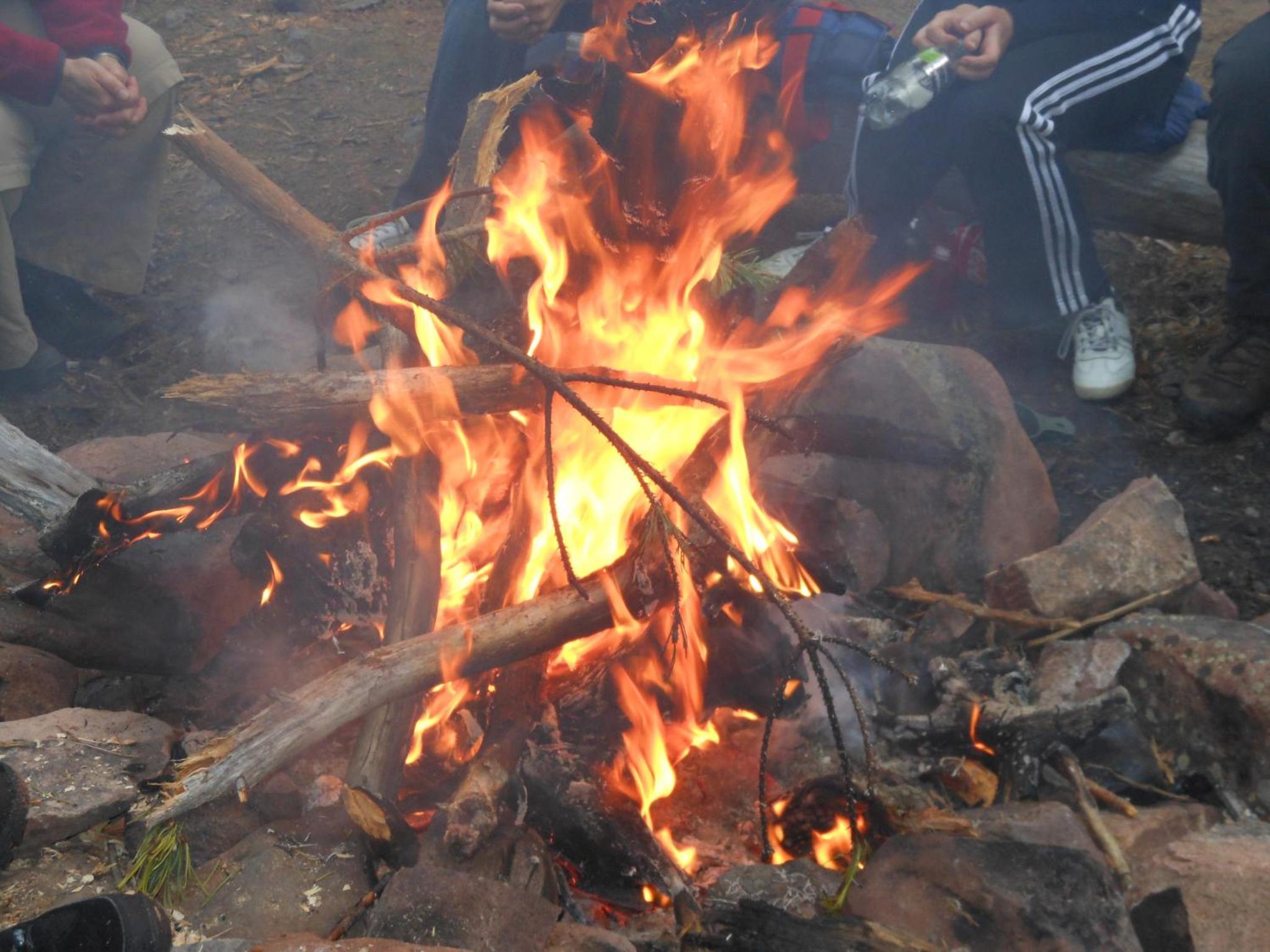Photo 11