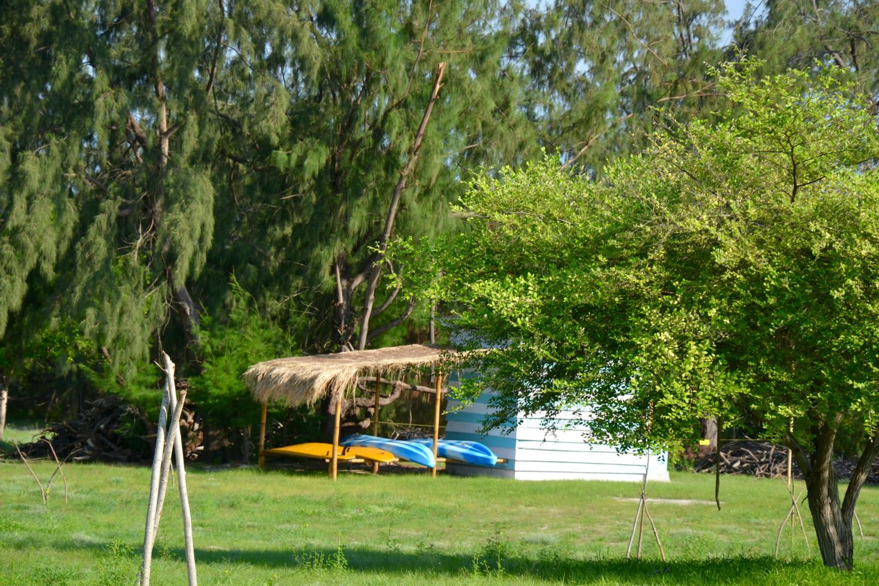 Photo 26