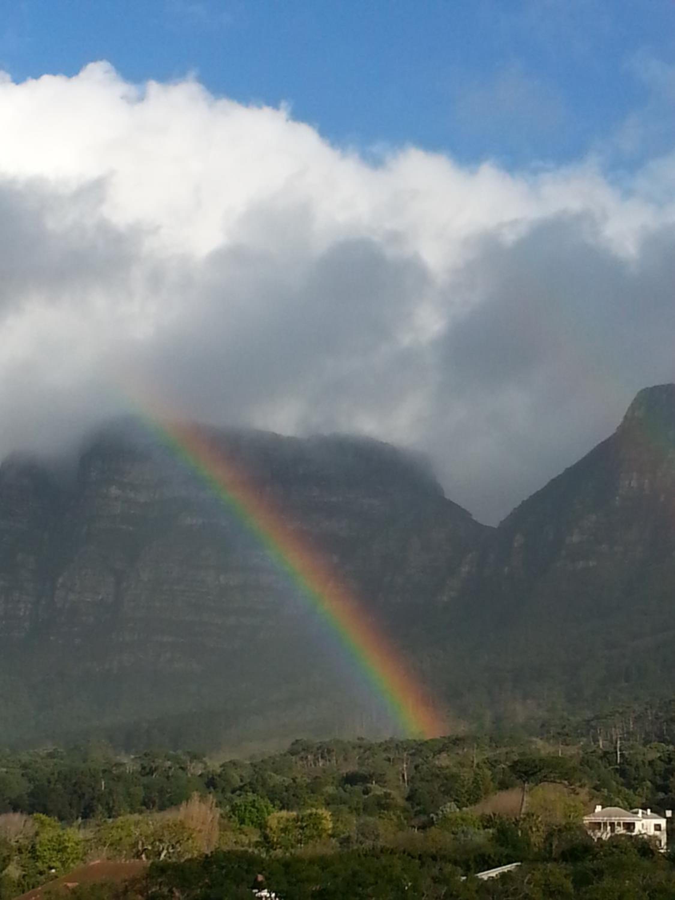The Rondebosch