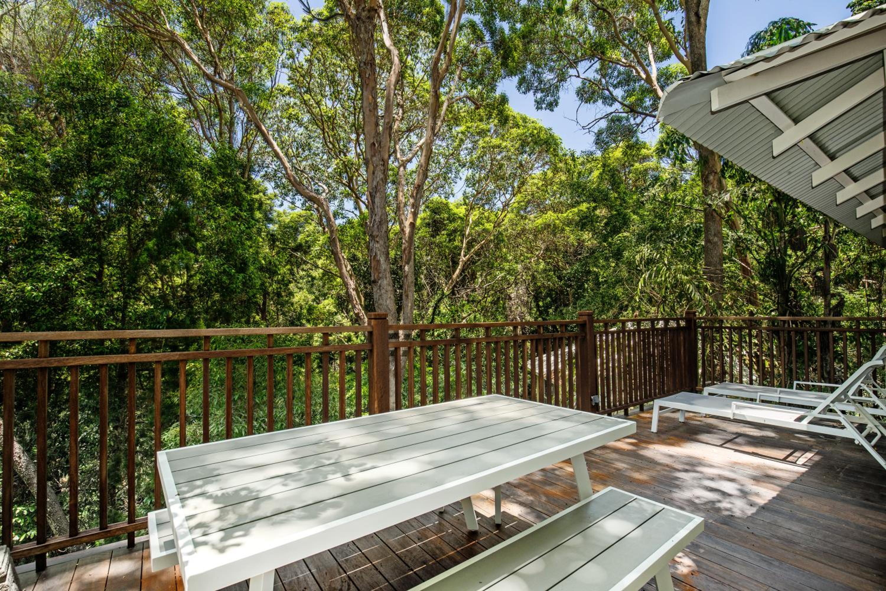 Dual-living amongst the rainforest, Little Cove