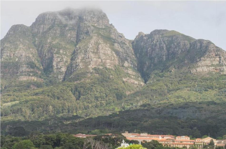 The Rondebosch