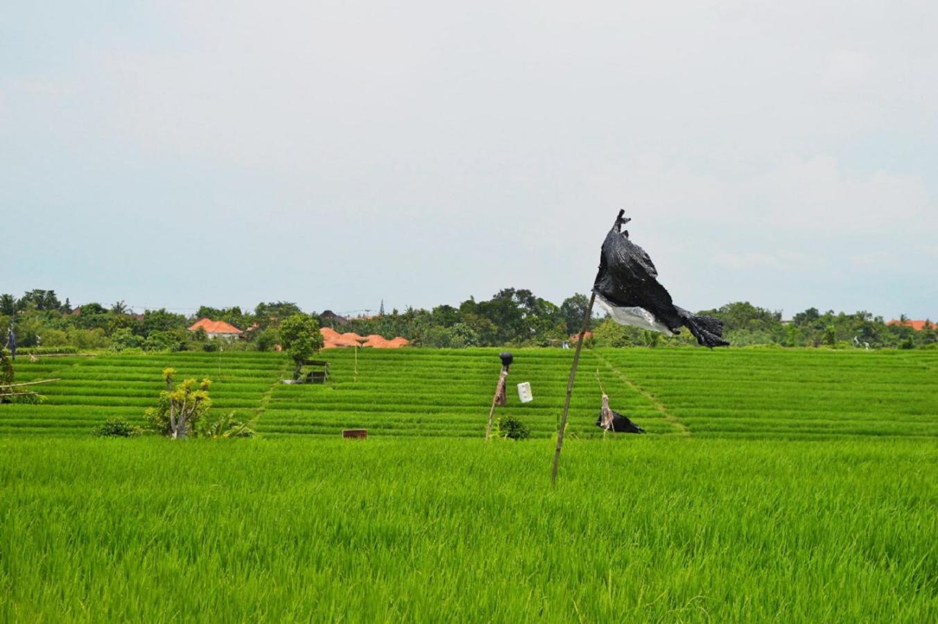 The Bali Dream Villa & Resort Echo Beach Canggu — photo 33