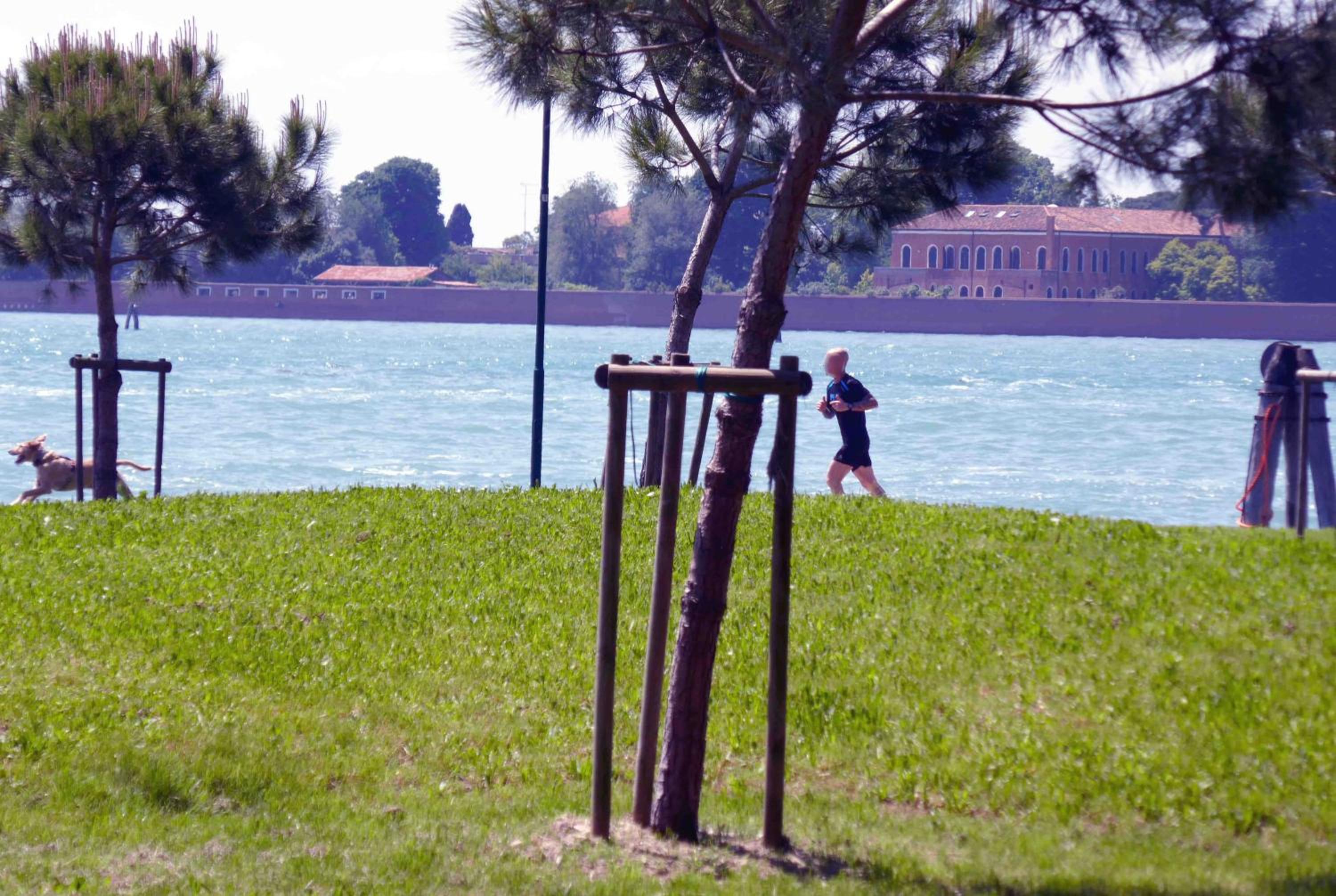 Ca' Giulia - Biennale - free wifi fiber