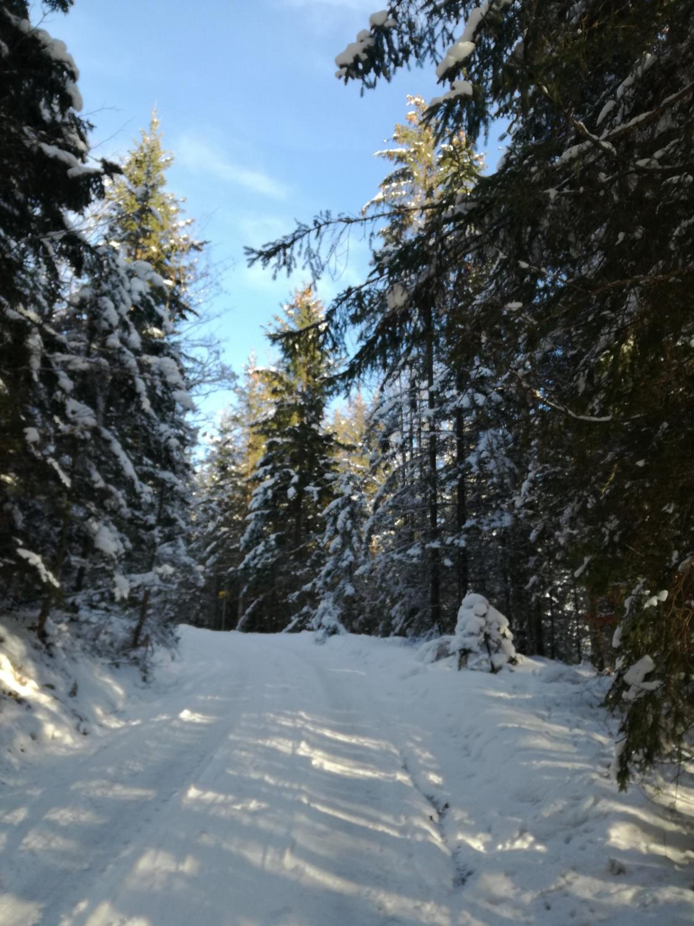 Appartement Alpenglück