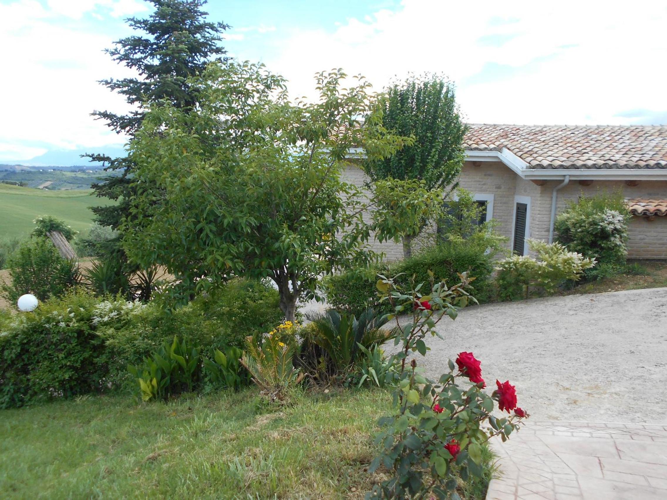 Photo 18
