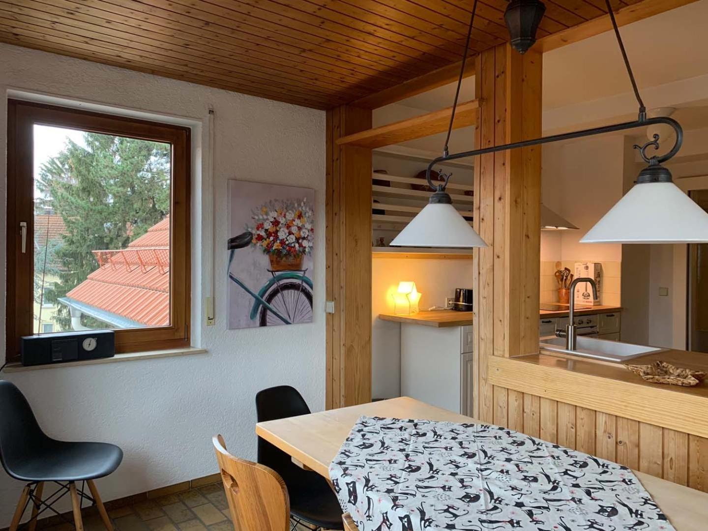 Deluxe Business City Apartments Metzingen Villa Landenberger, photo 5