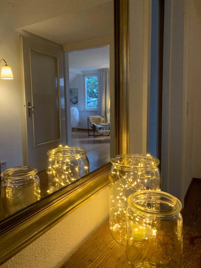 Deluxe Business City Apartments Metzingen Villa Landenberger, photo 8