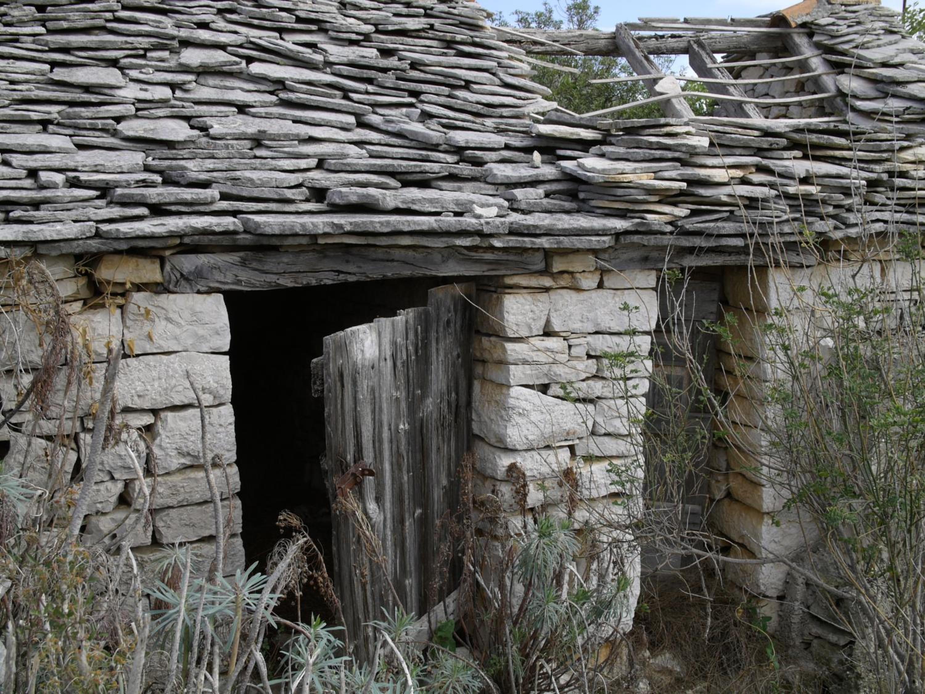 Photo 46