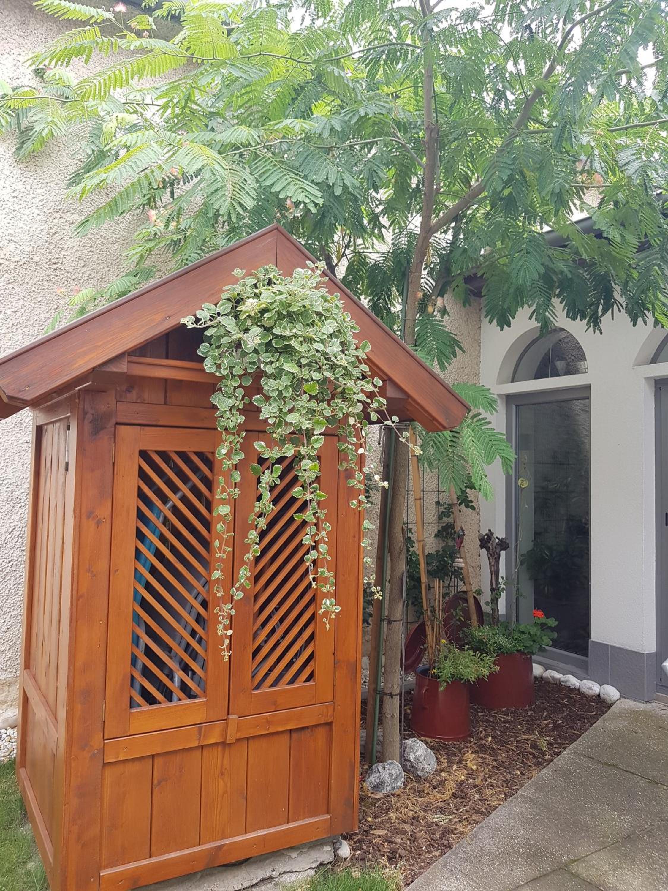 Zur Weinlaube