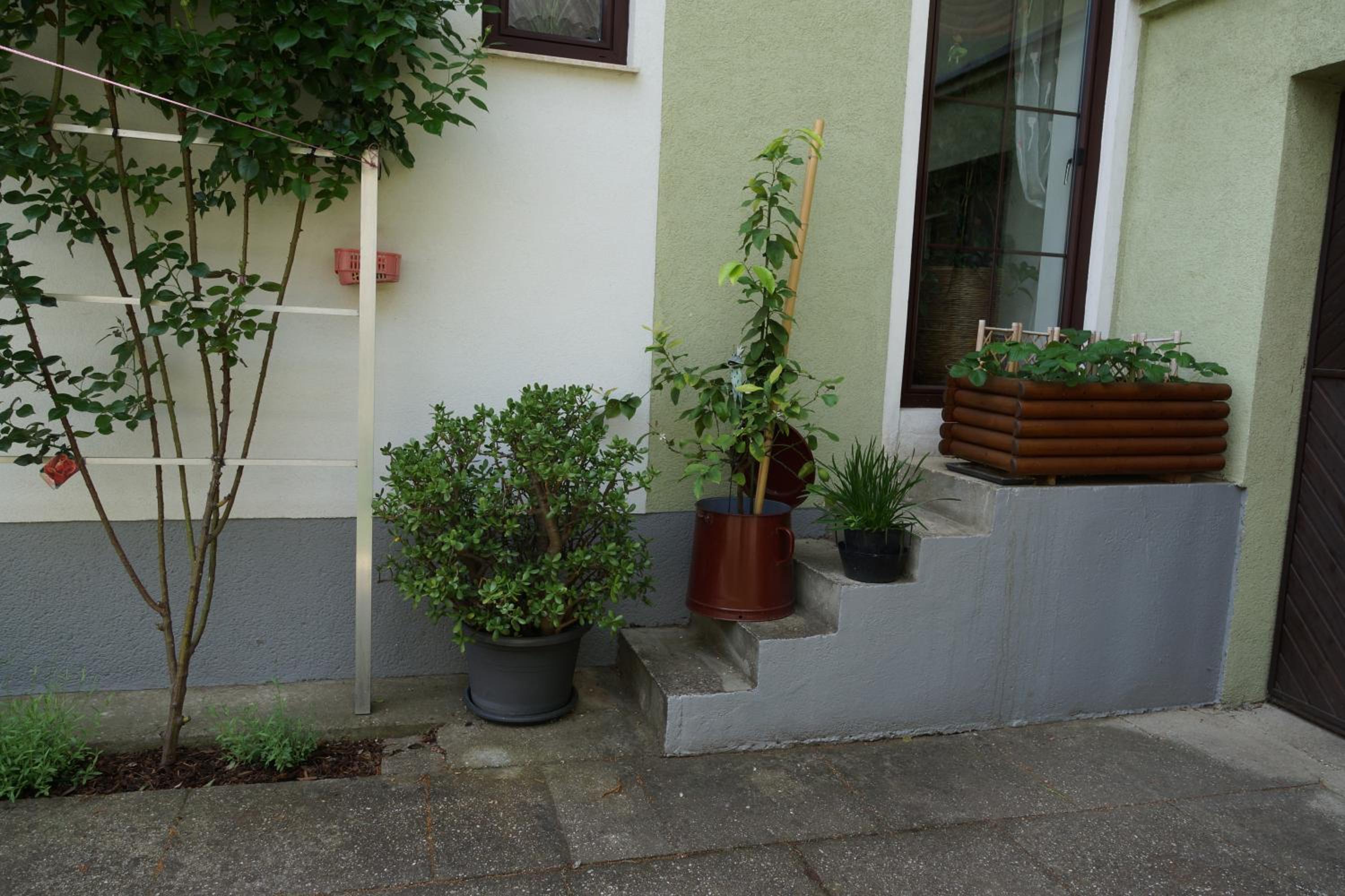 Zur Weinlaube