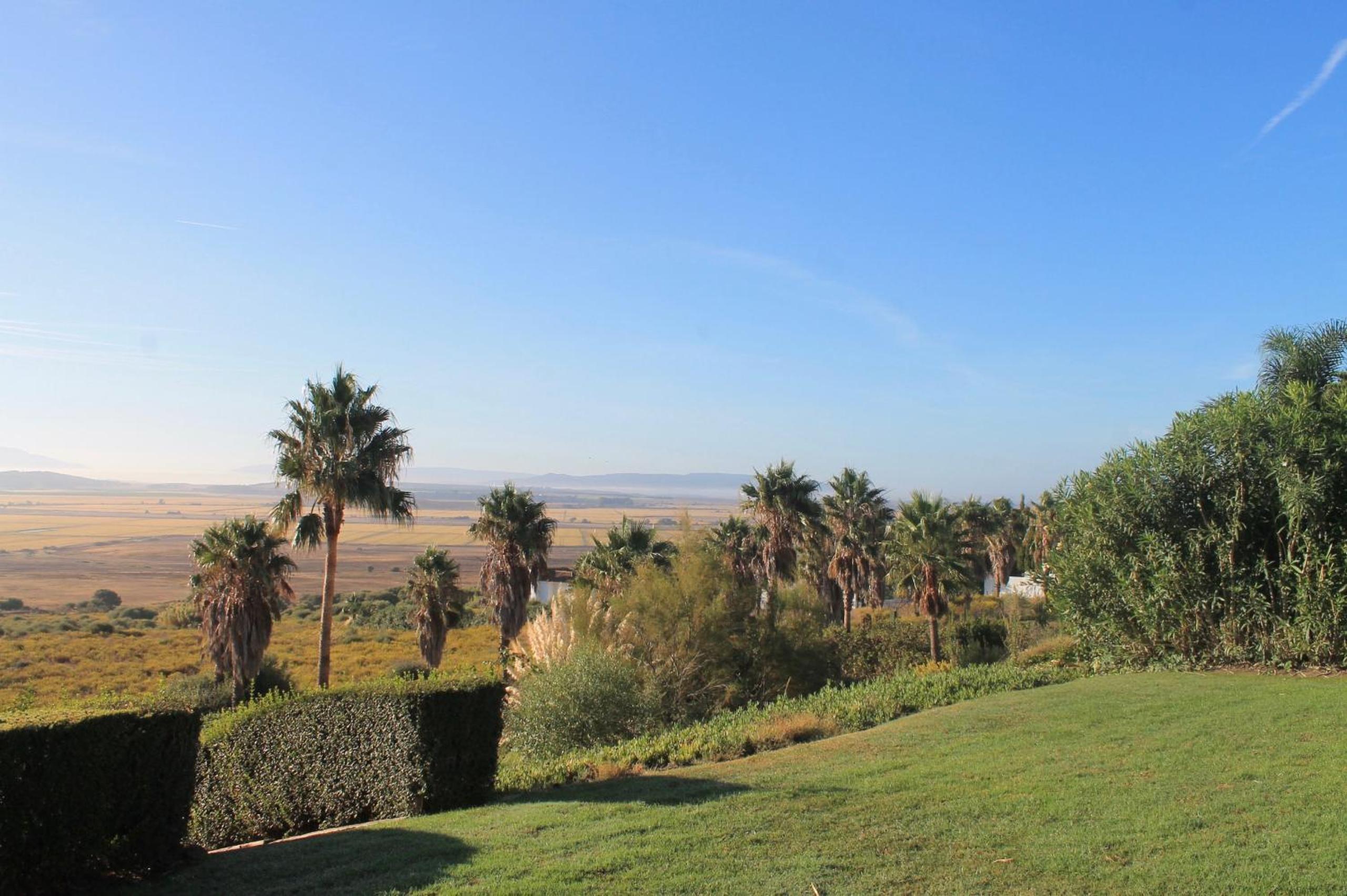 La Luz view 3