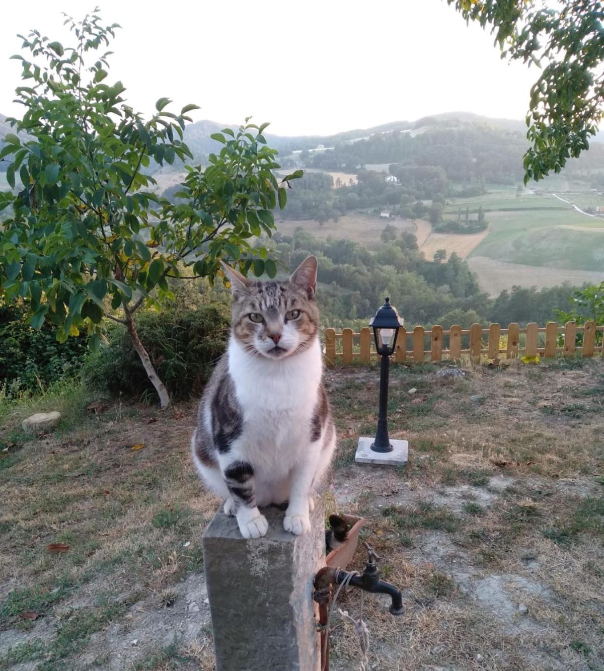 GranNoce Bed and Breakfast view 4