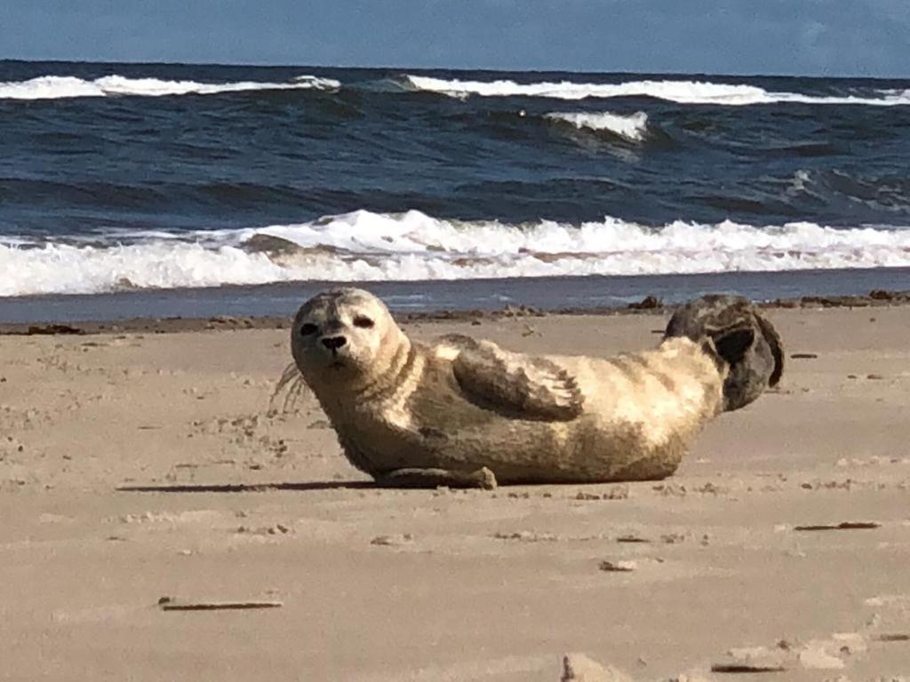 meerZEIT Norderney en Norderney