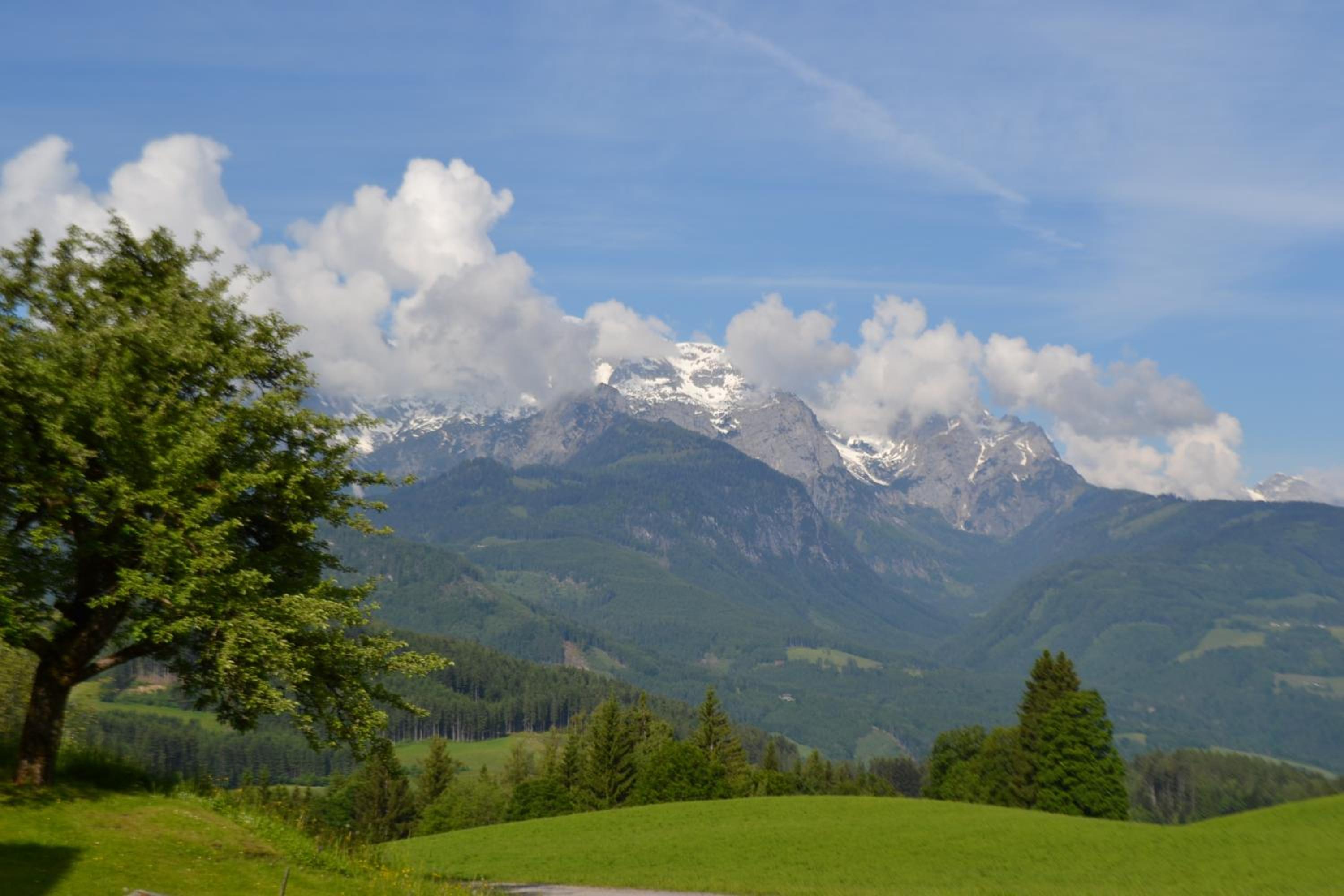Appartement Steinerhof