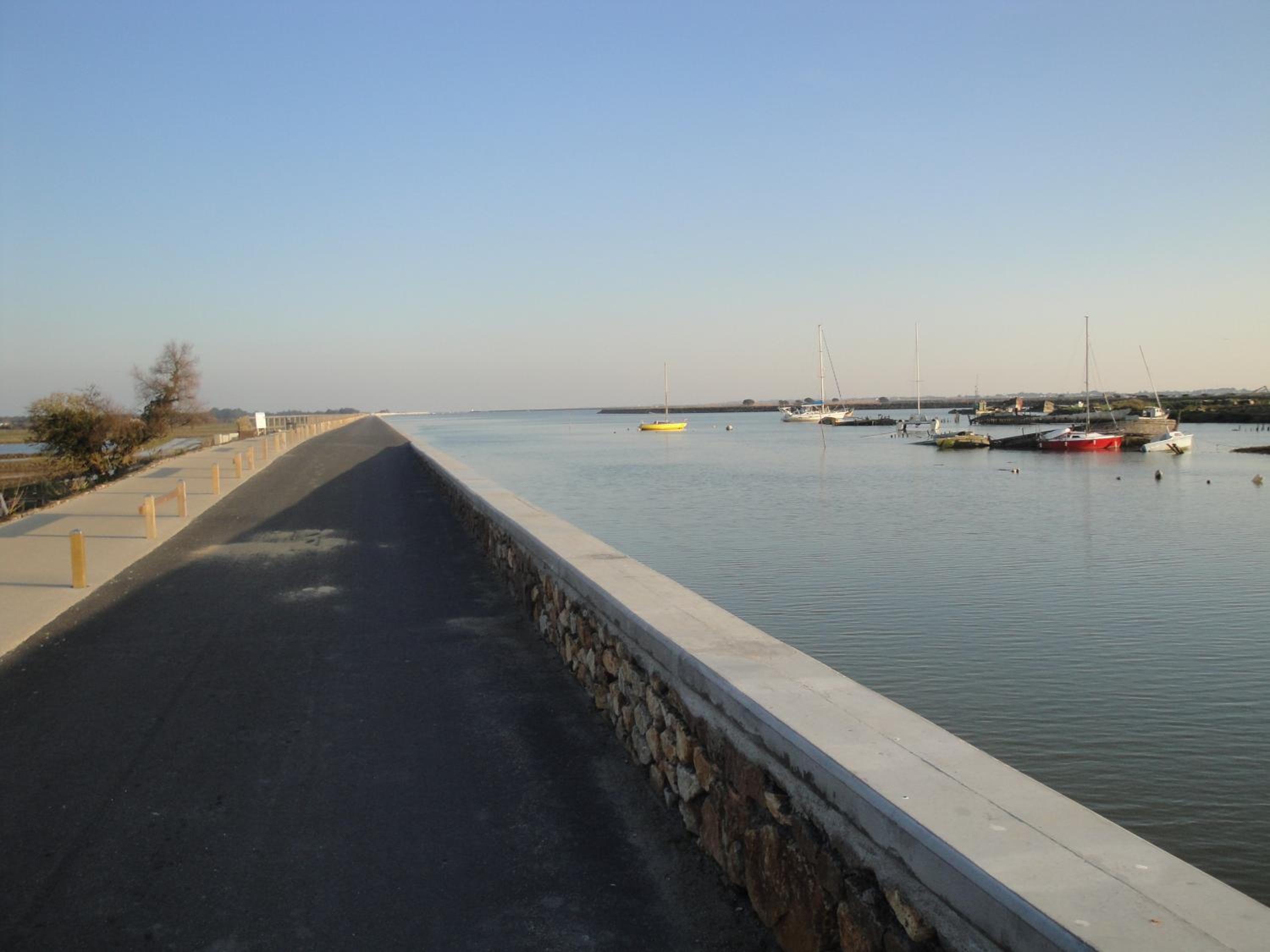 Photo 46