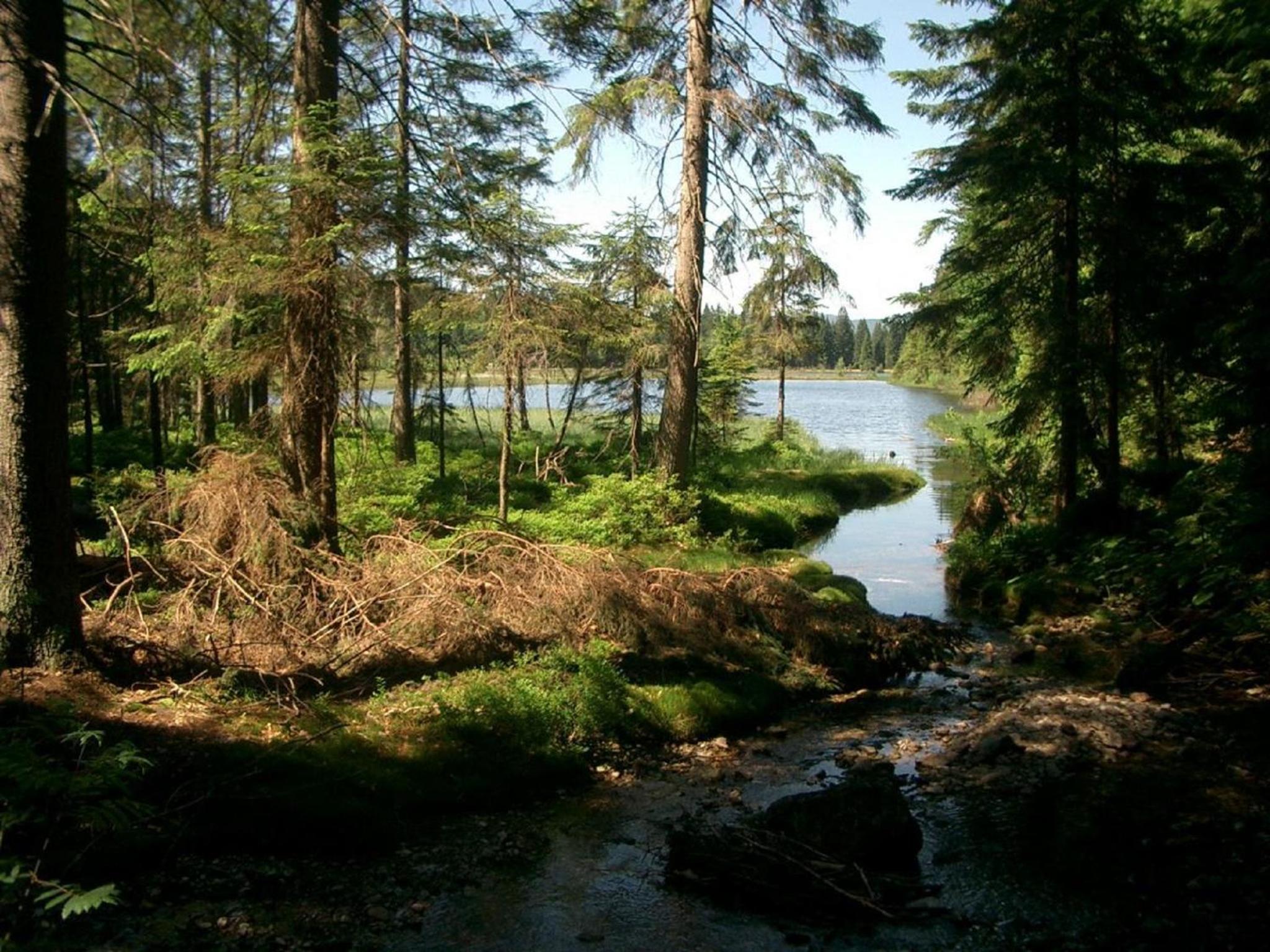 Photo 37