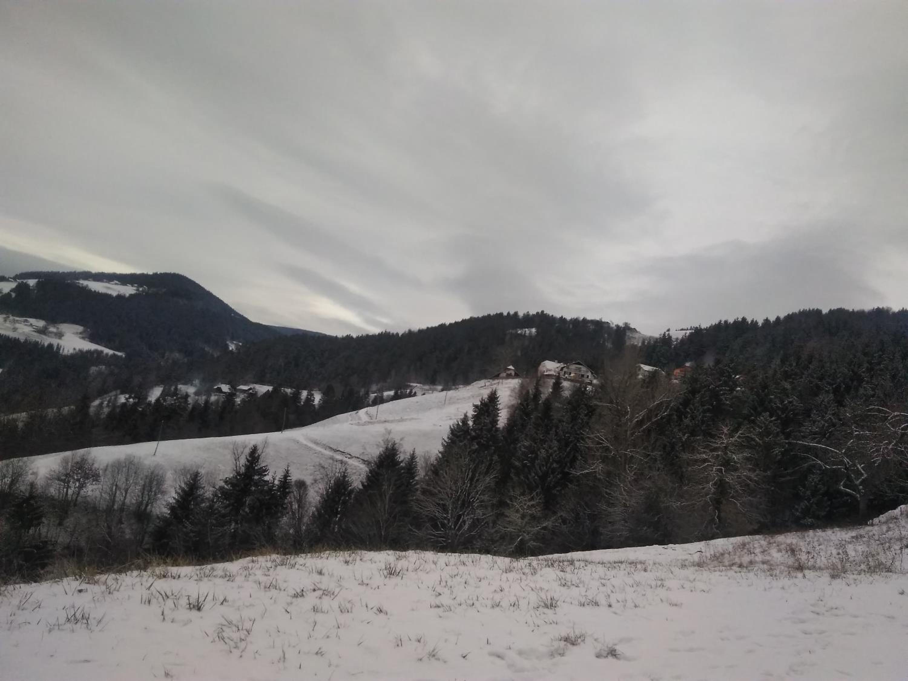 Photo 49