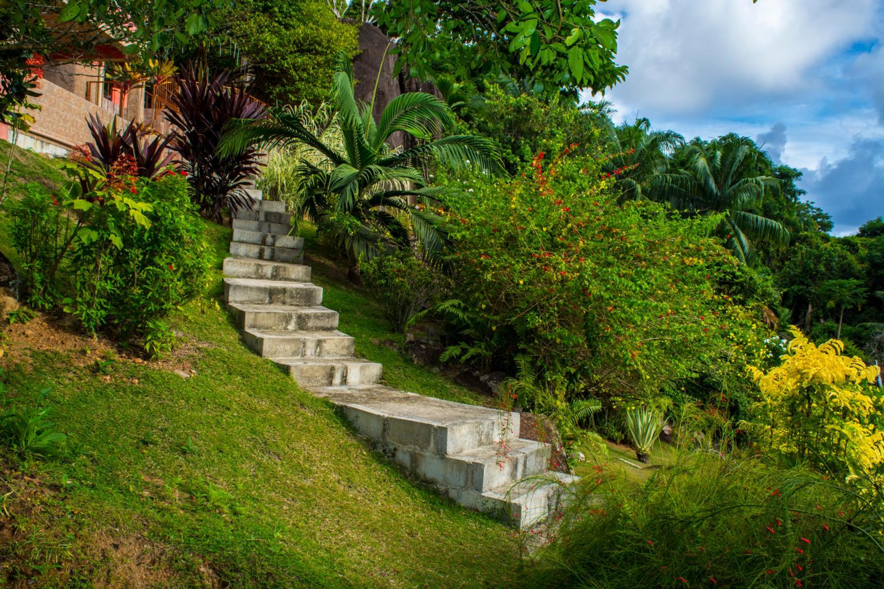 Photo 40