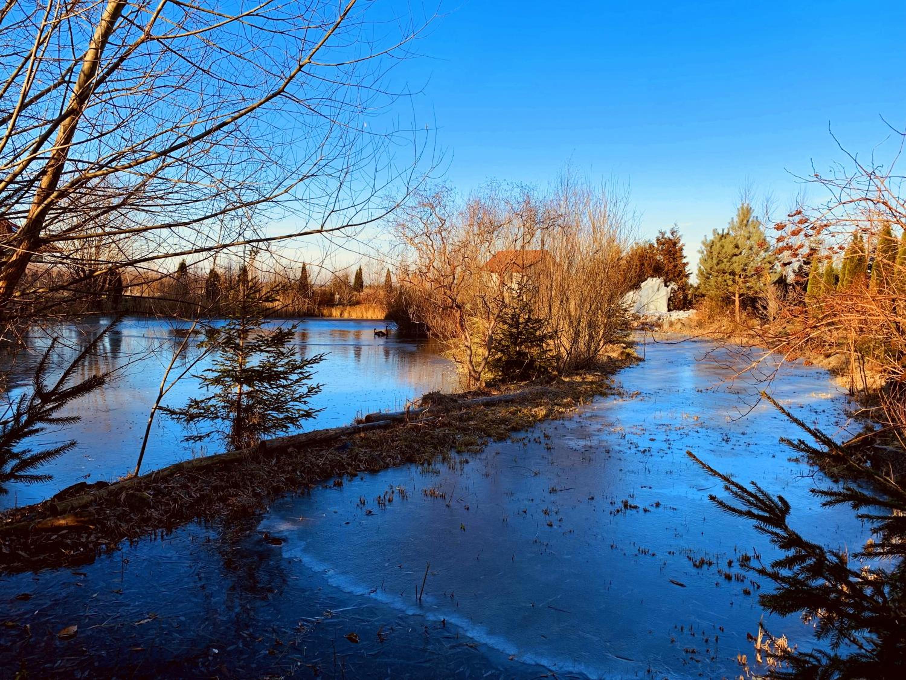 Photo 40