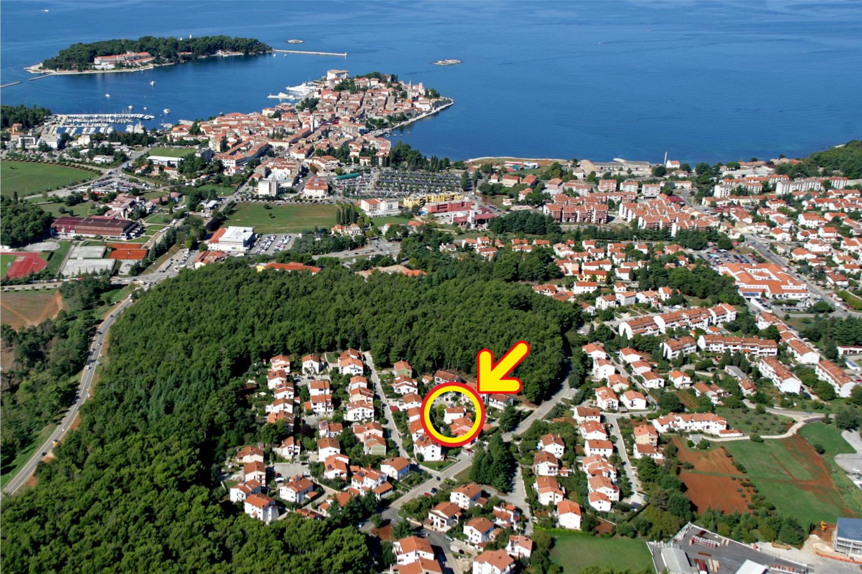 Apartments Mladenka