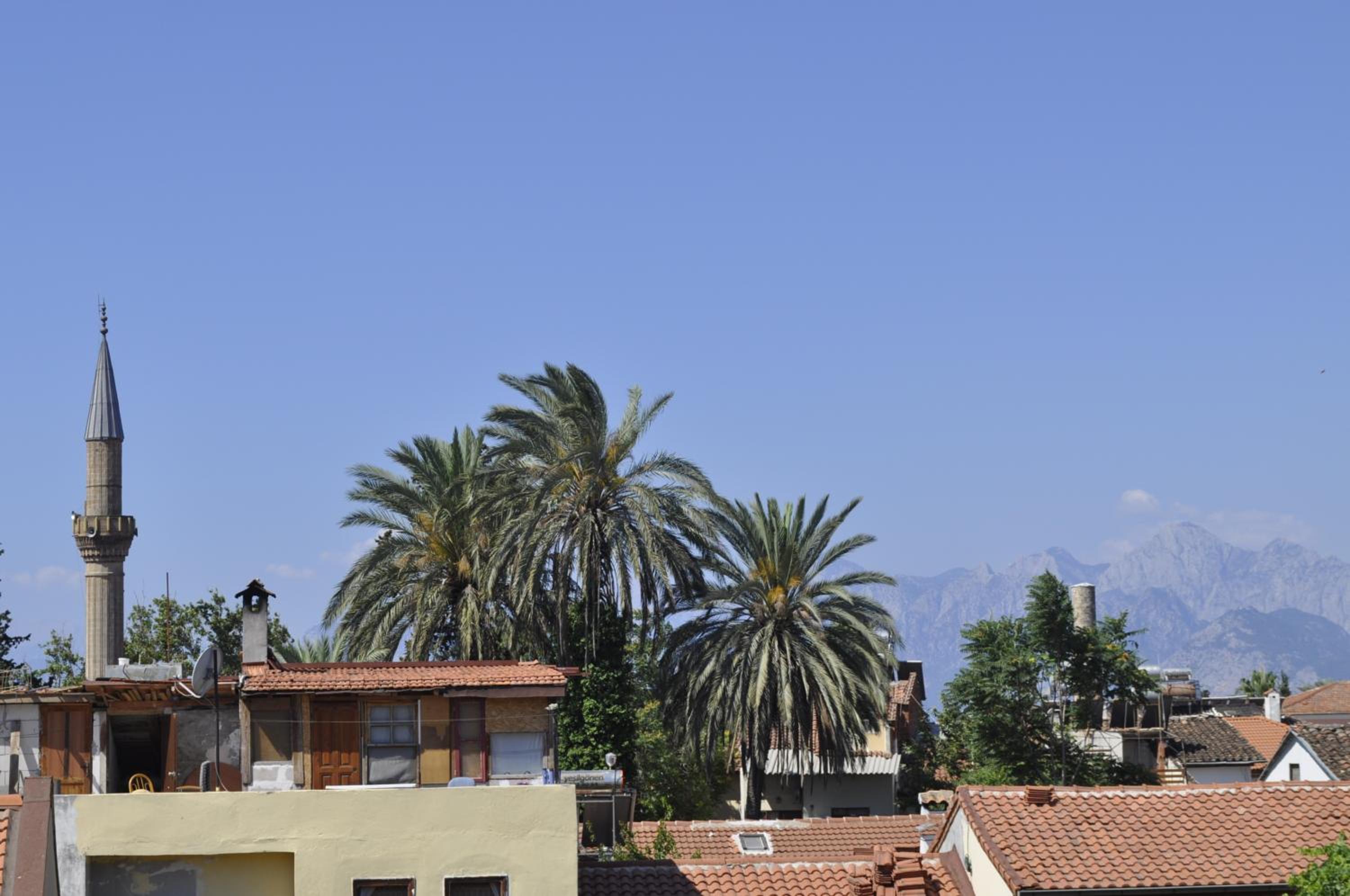 Erkal Pension - Image 122