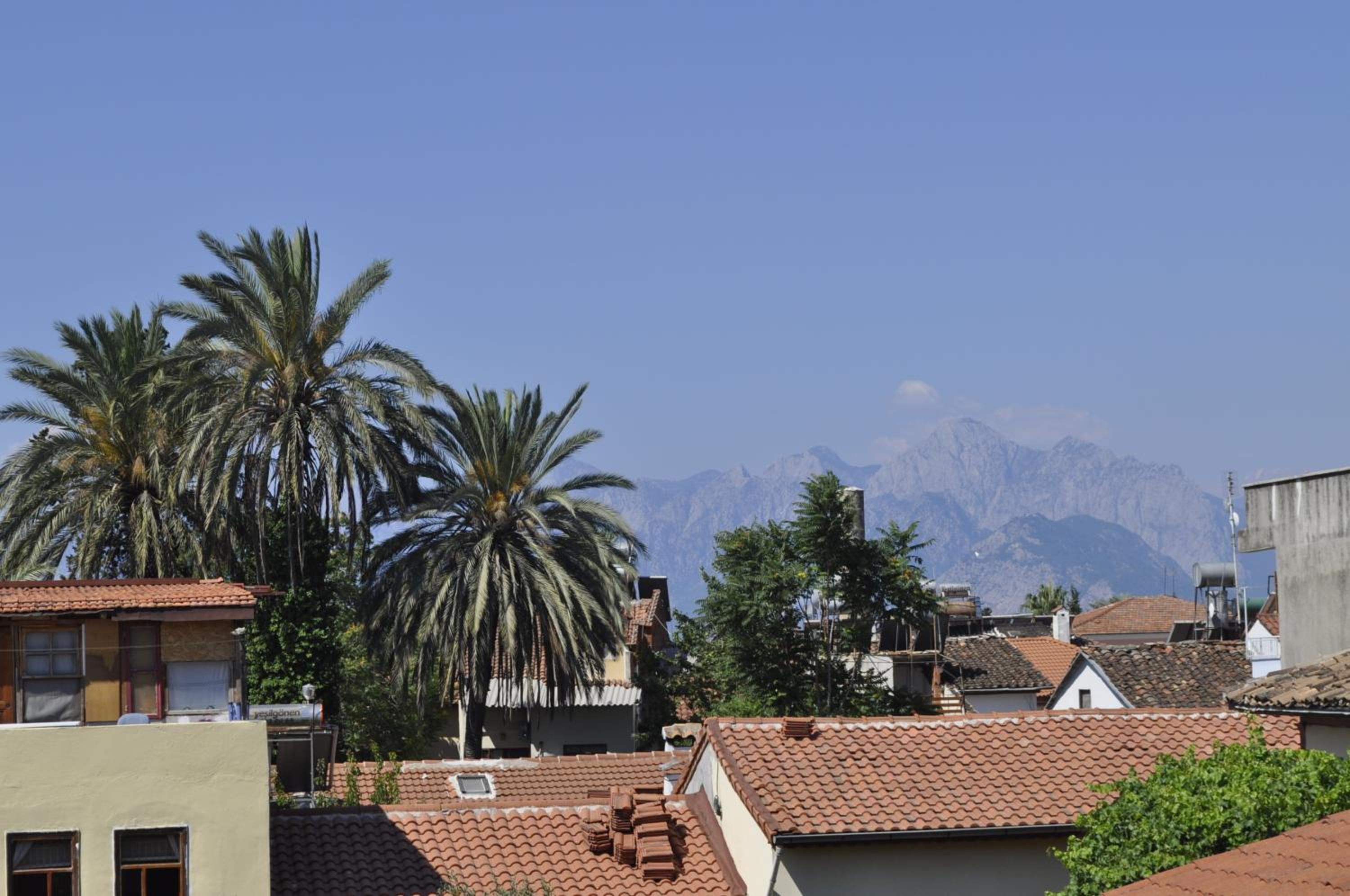 Erkal Pension - Image 124