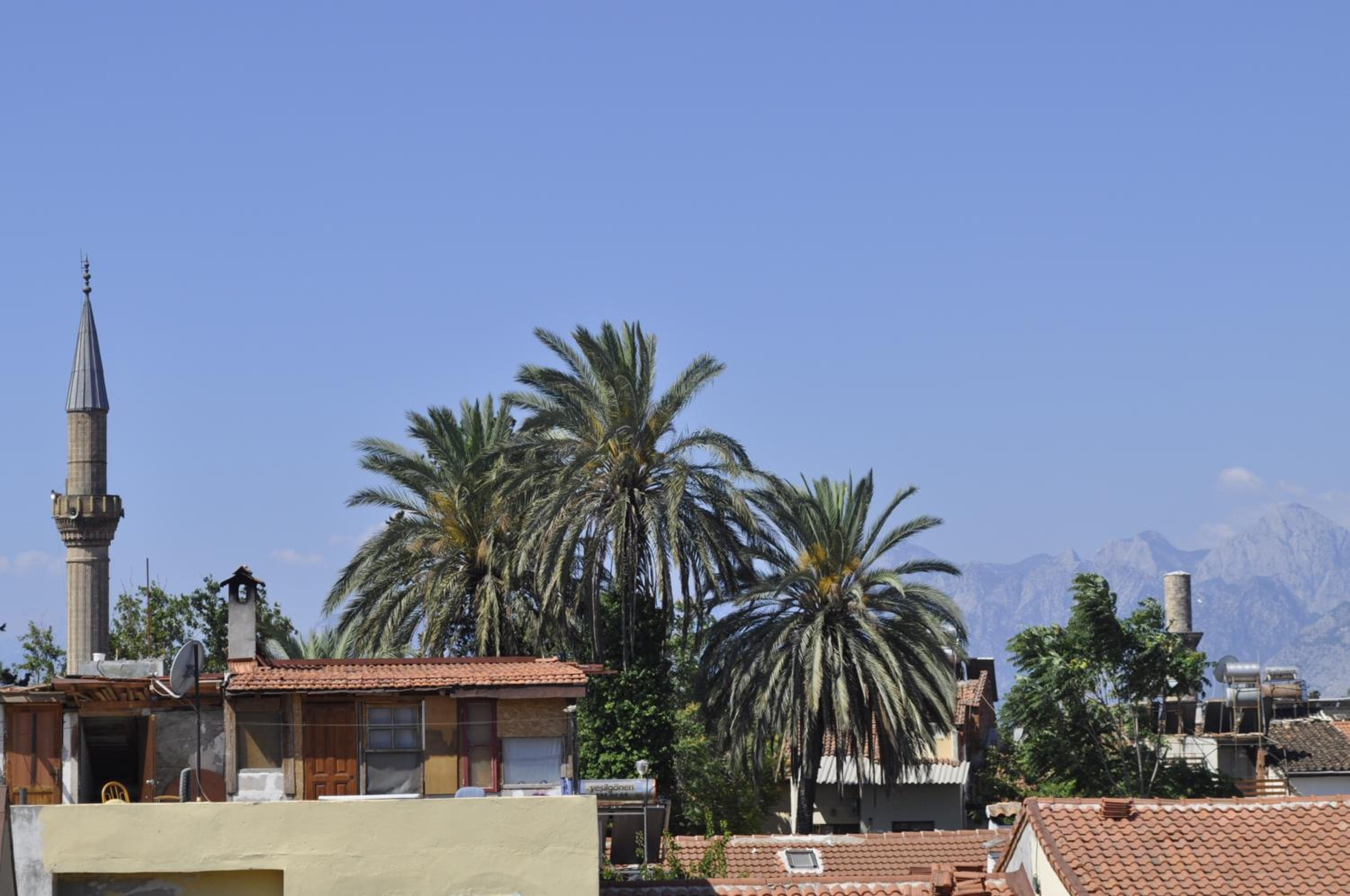 Erkal Pension - Image 125