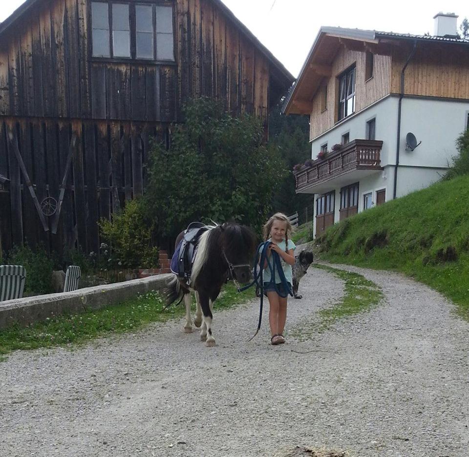 Schirfhof