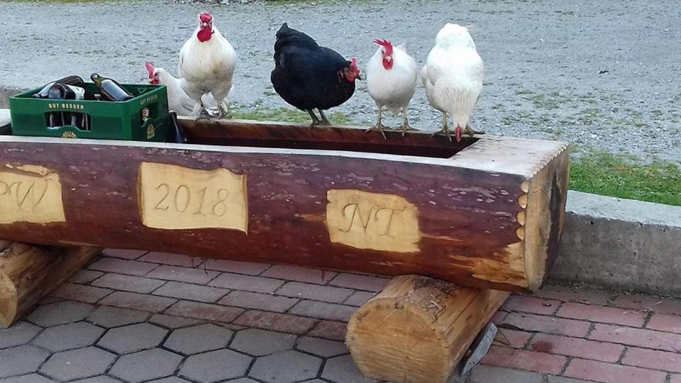 Schirfhof