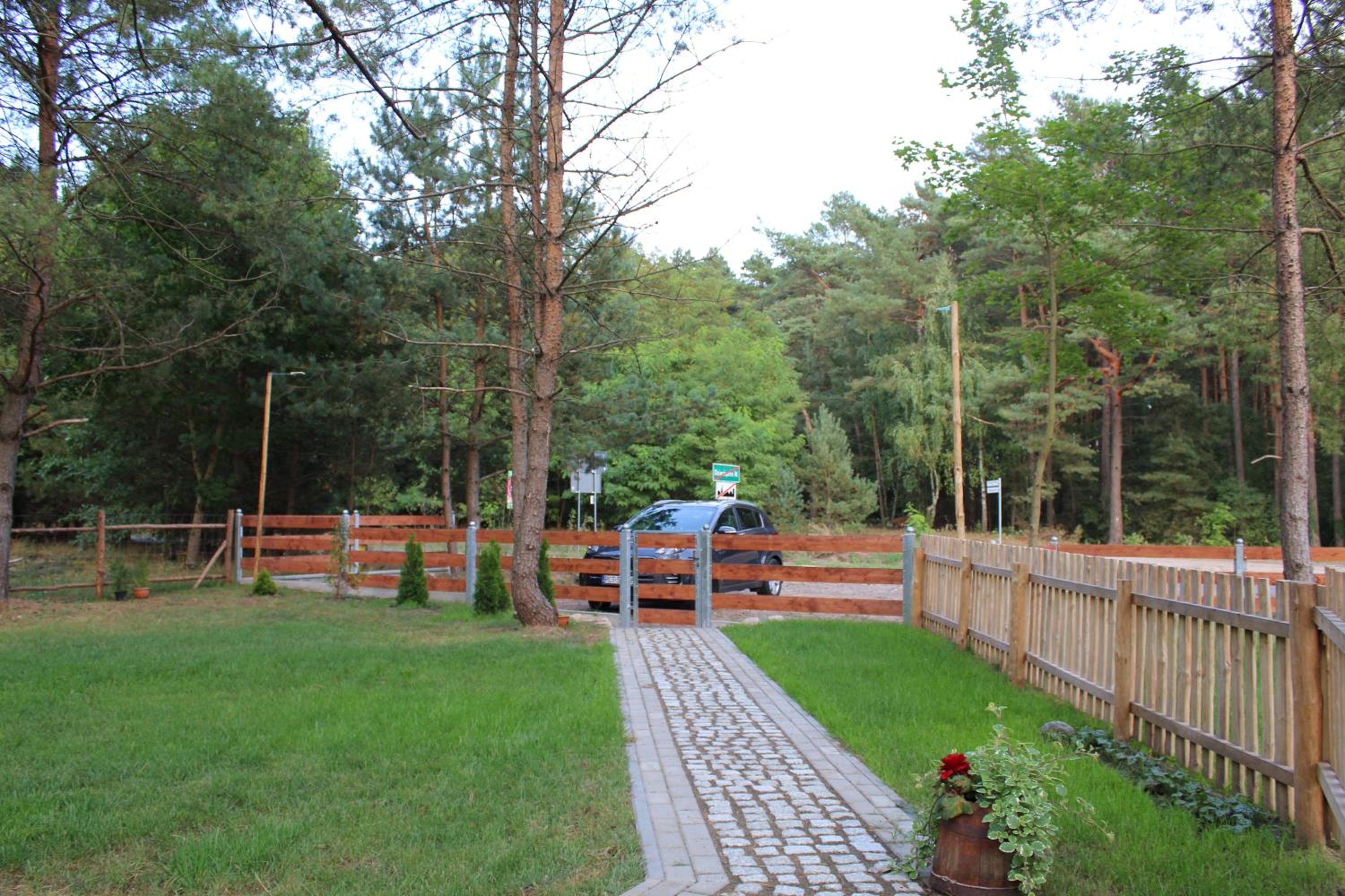 Photo 19