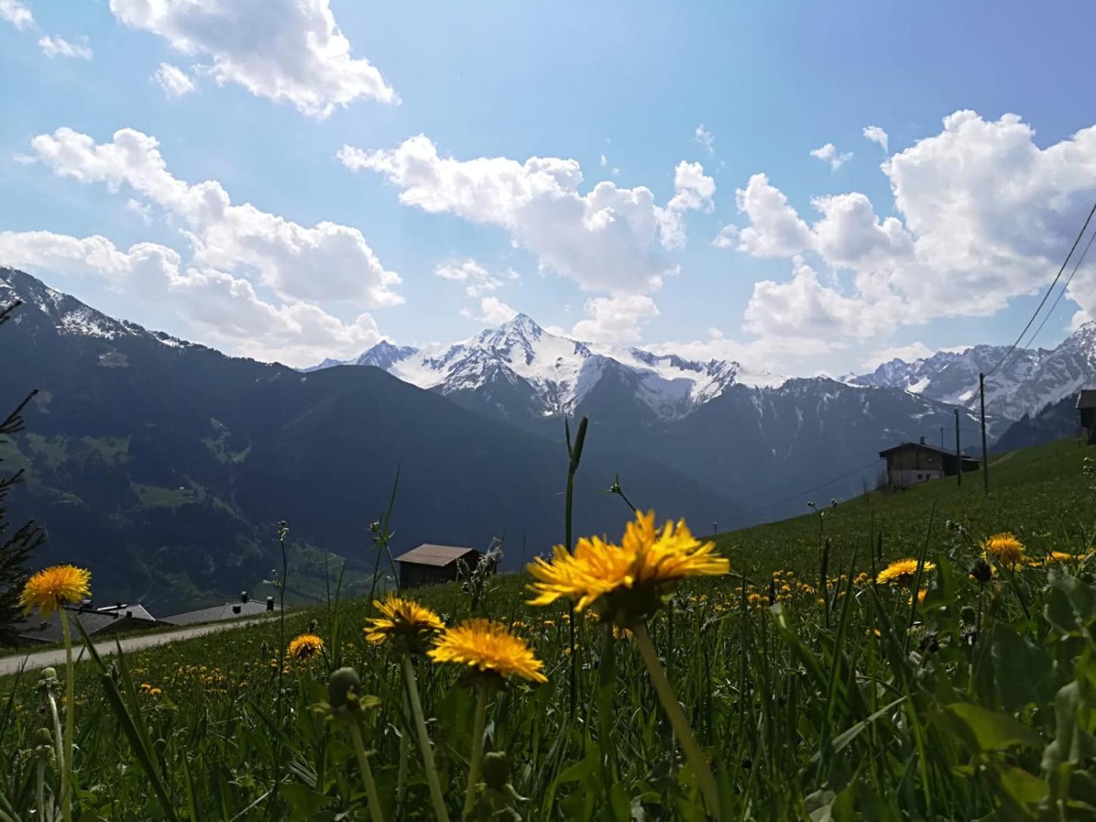Alpenchalet Zillertal view 4