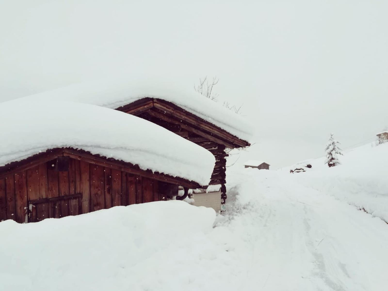 Alpenchalet Zillertal view 2