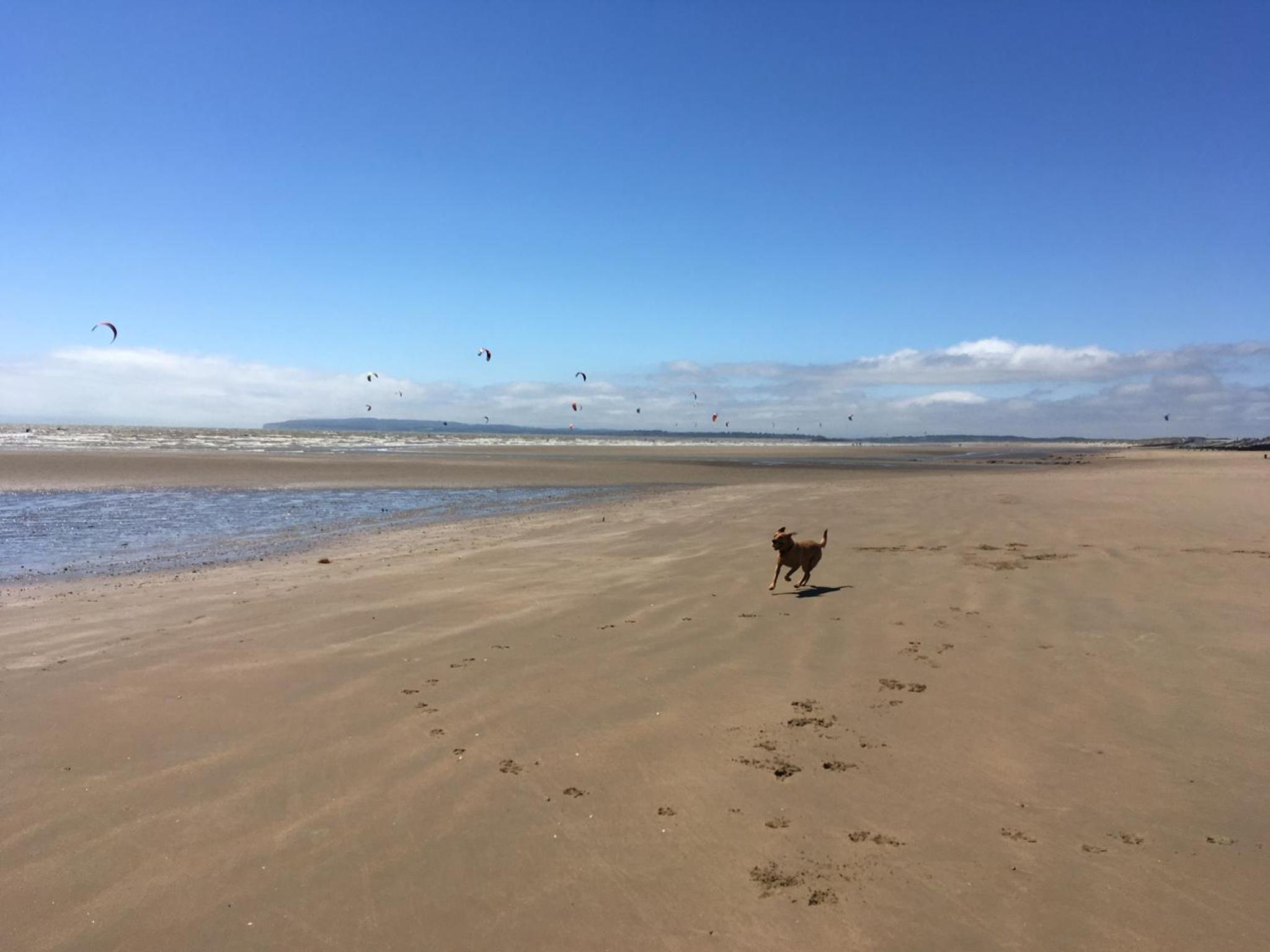 other