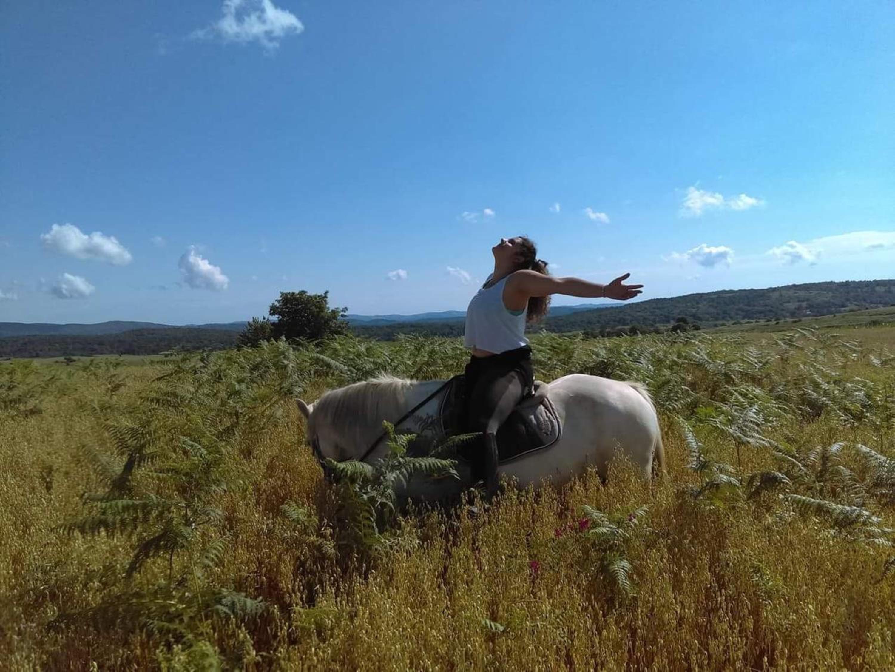 Ranch Terra