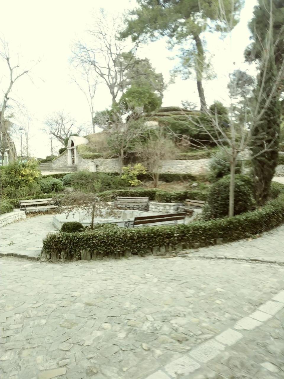 Photo 38