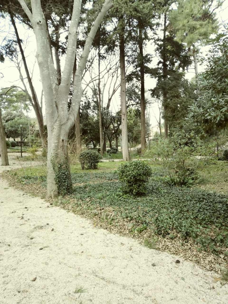 Photo 37