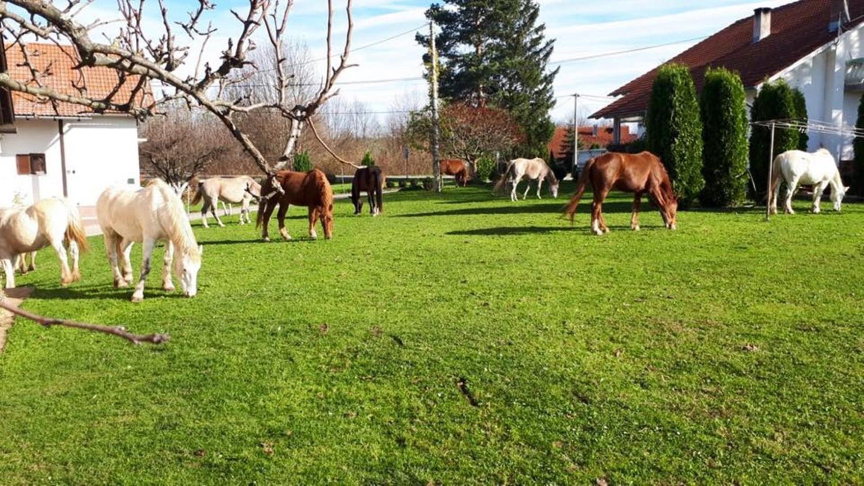 Ranch Terra